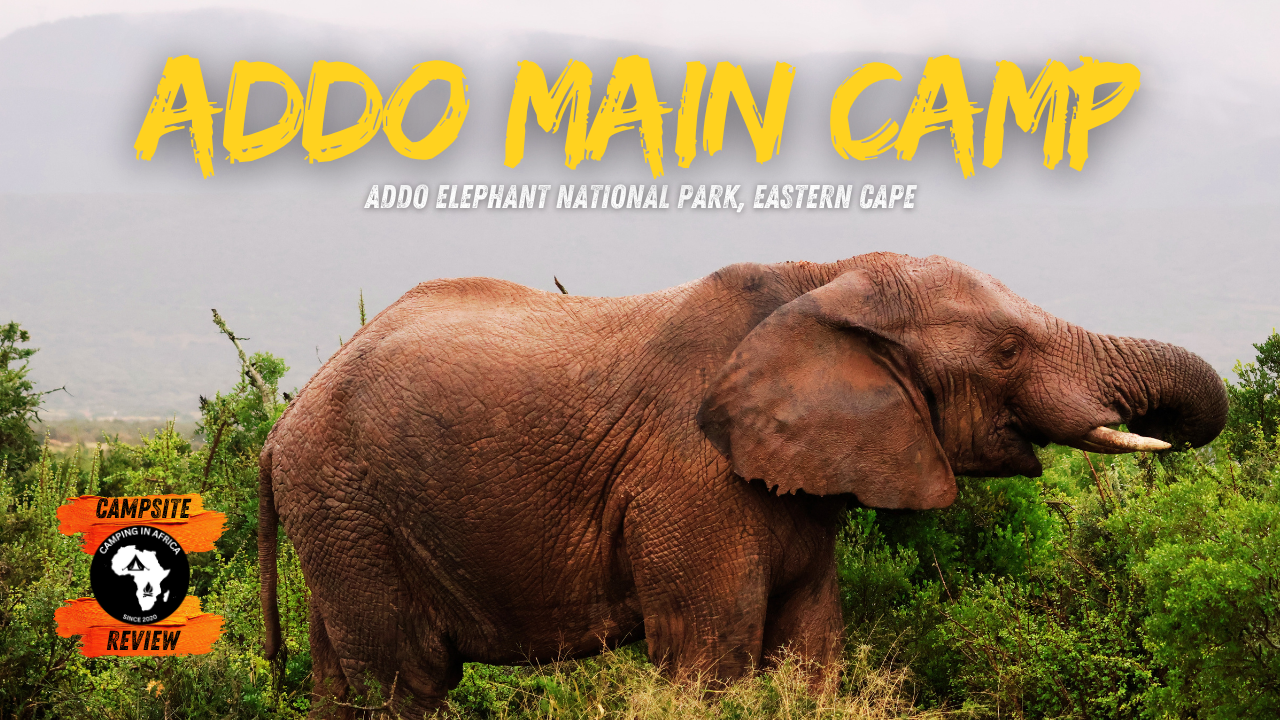 Addo Main Camp, Addo Elephant National Park, Eastern Cape