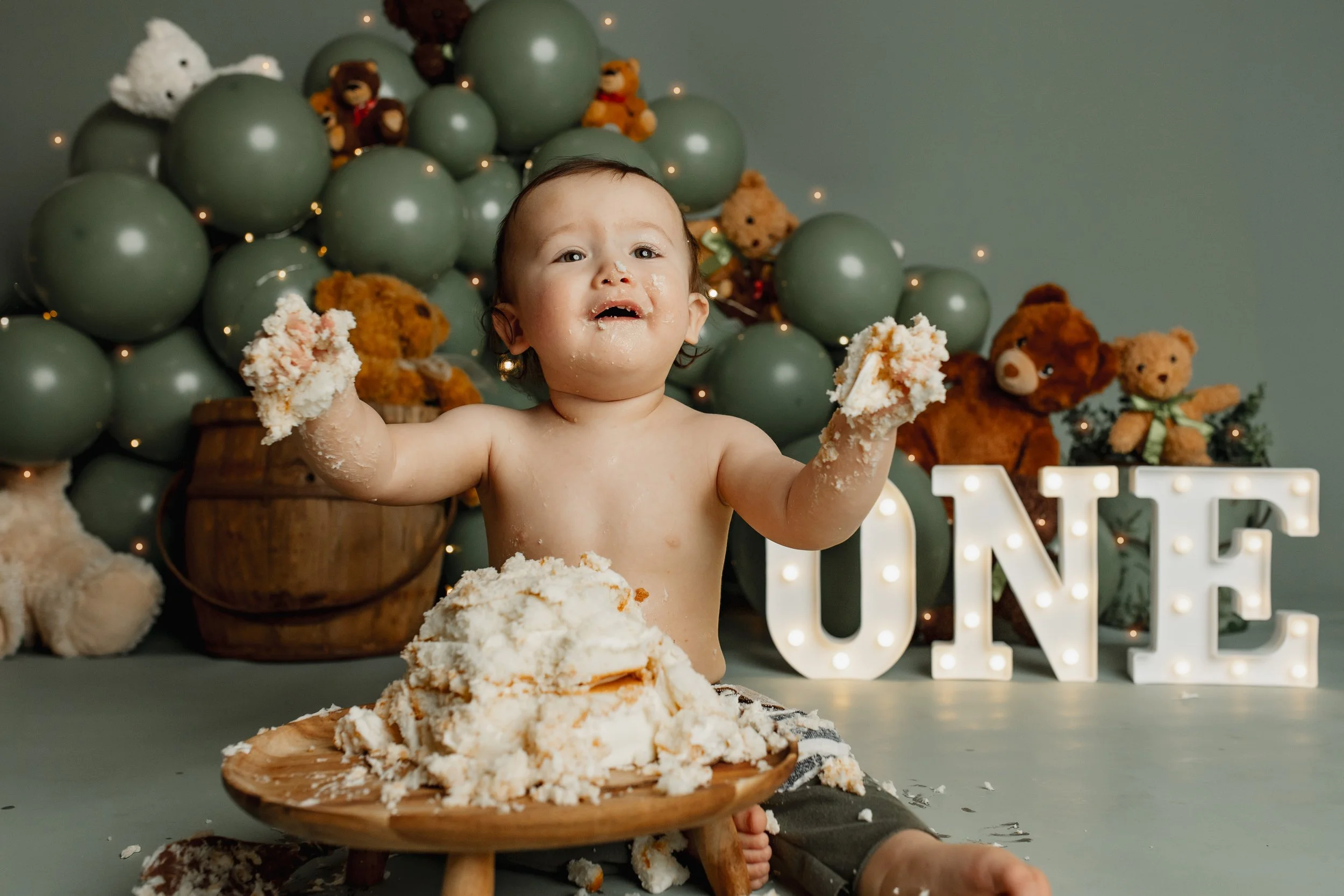 Mansfield, TX Cake Smash Session, Teddy Bear themed first birthday session