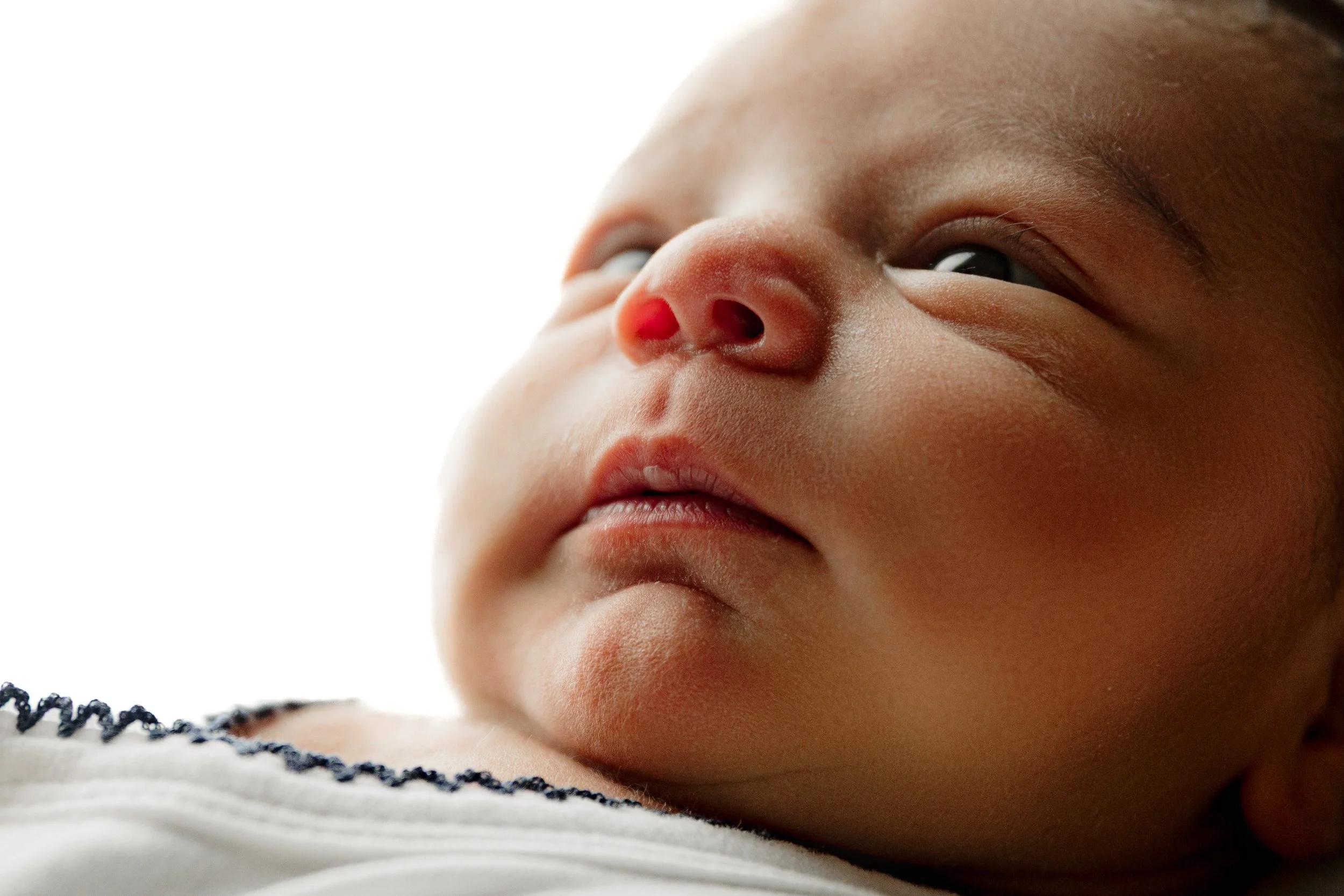 close up baby photos newborn photographer dallas tx