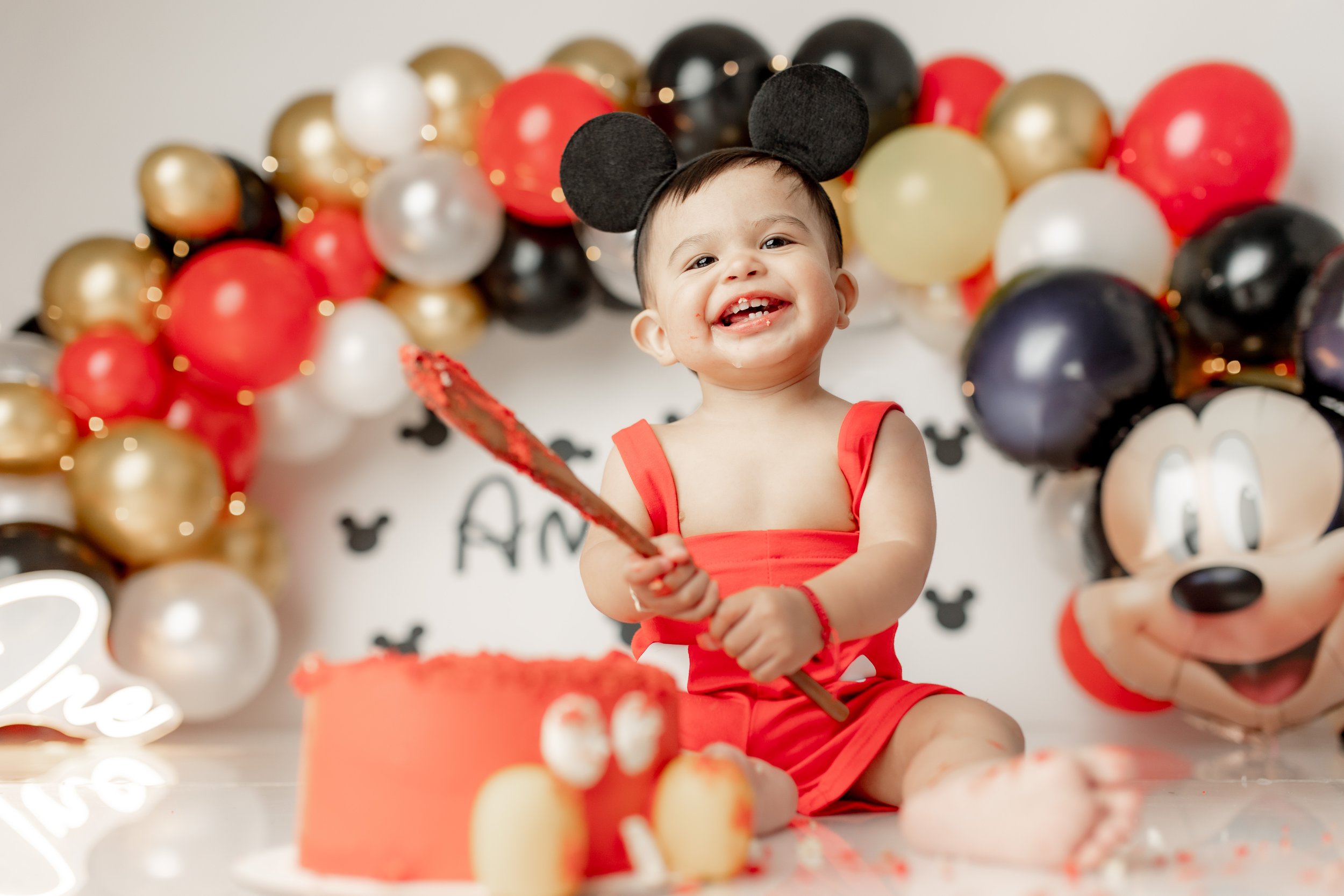 Fort Worth, TX first birthday photoshoot session