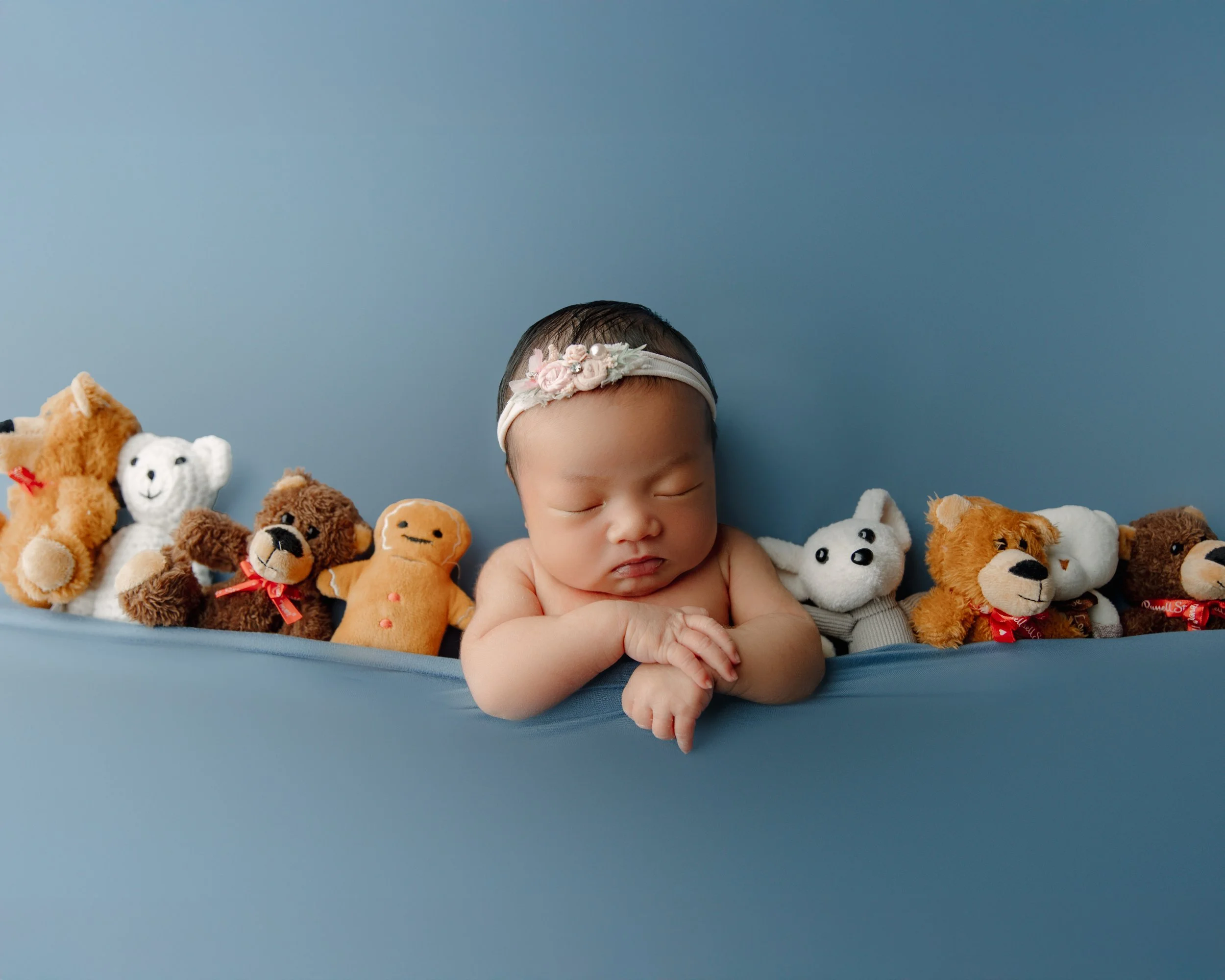 baby newborn photographer dfw