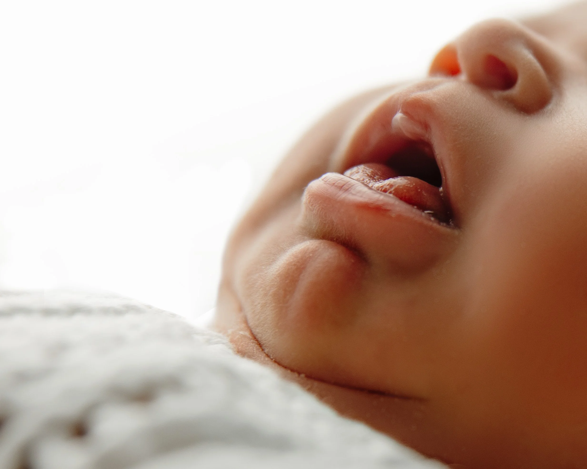 baby photographer for newborns in Arlington tx