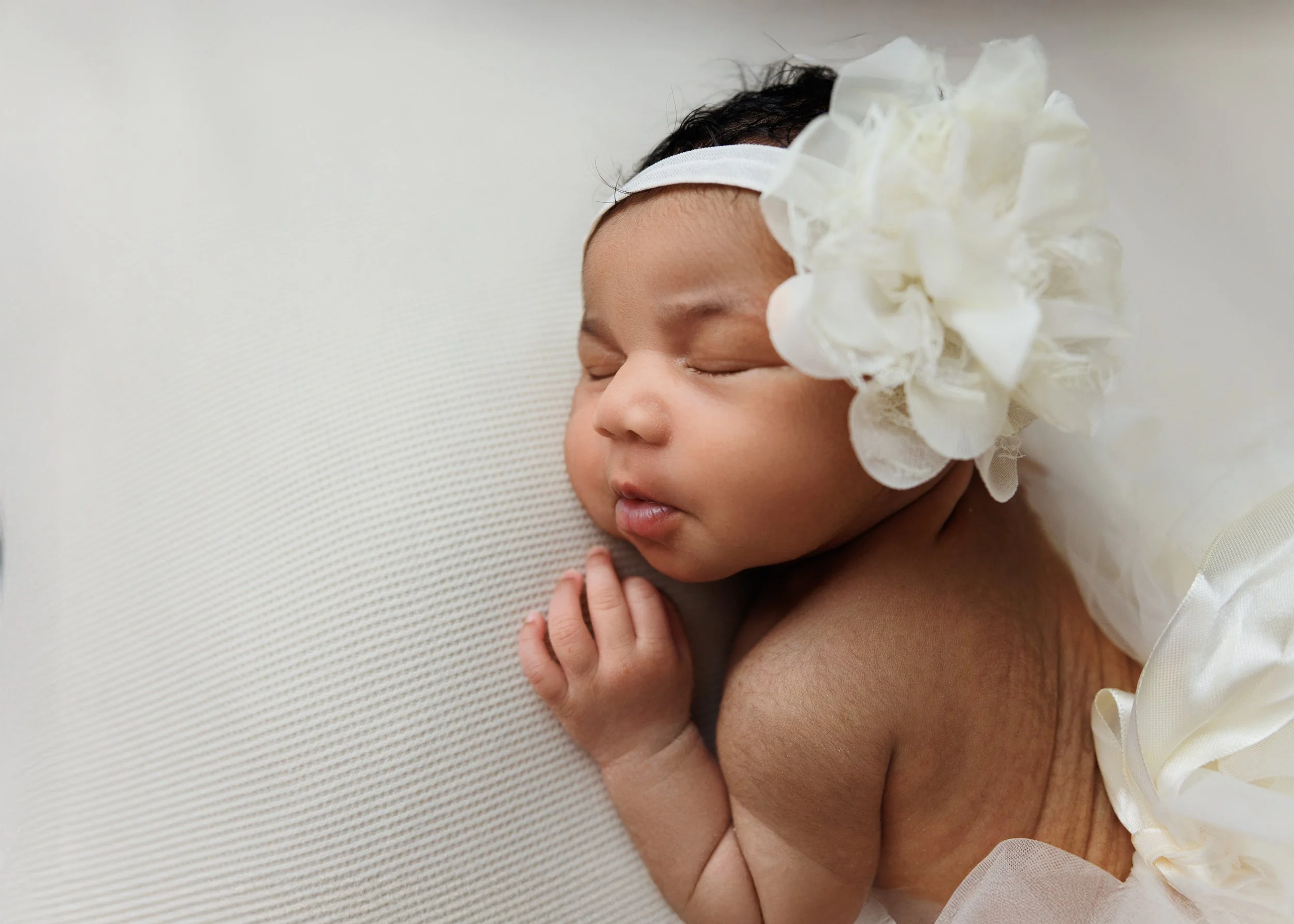 frisco tx newborn photographer