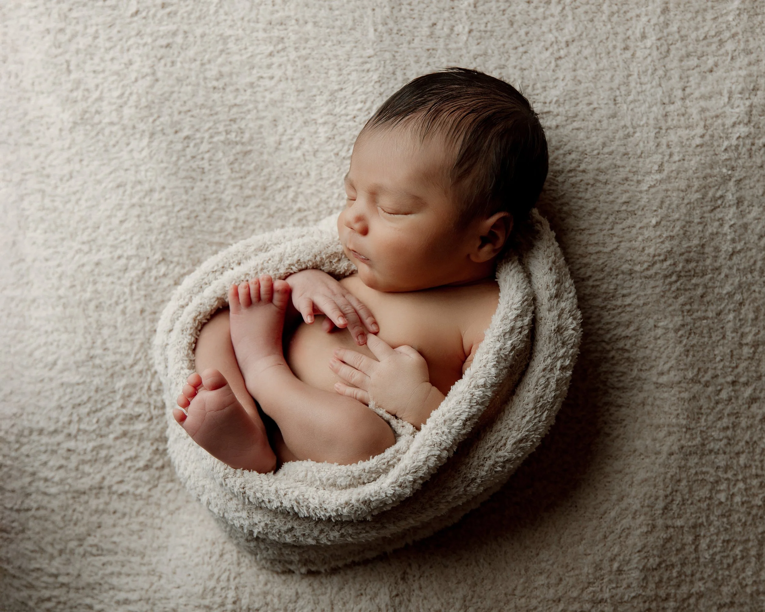 dallas tx newborn photoshoot neutral colors
