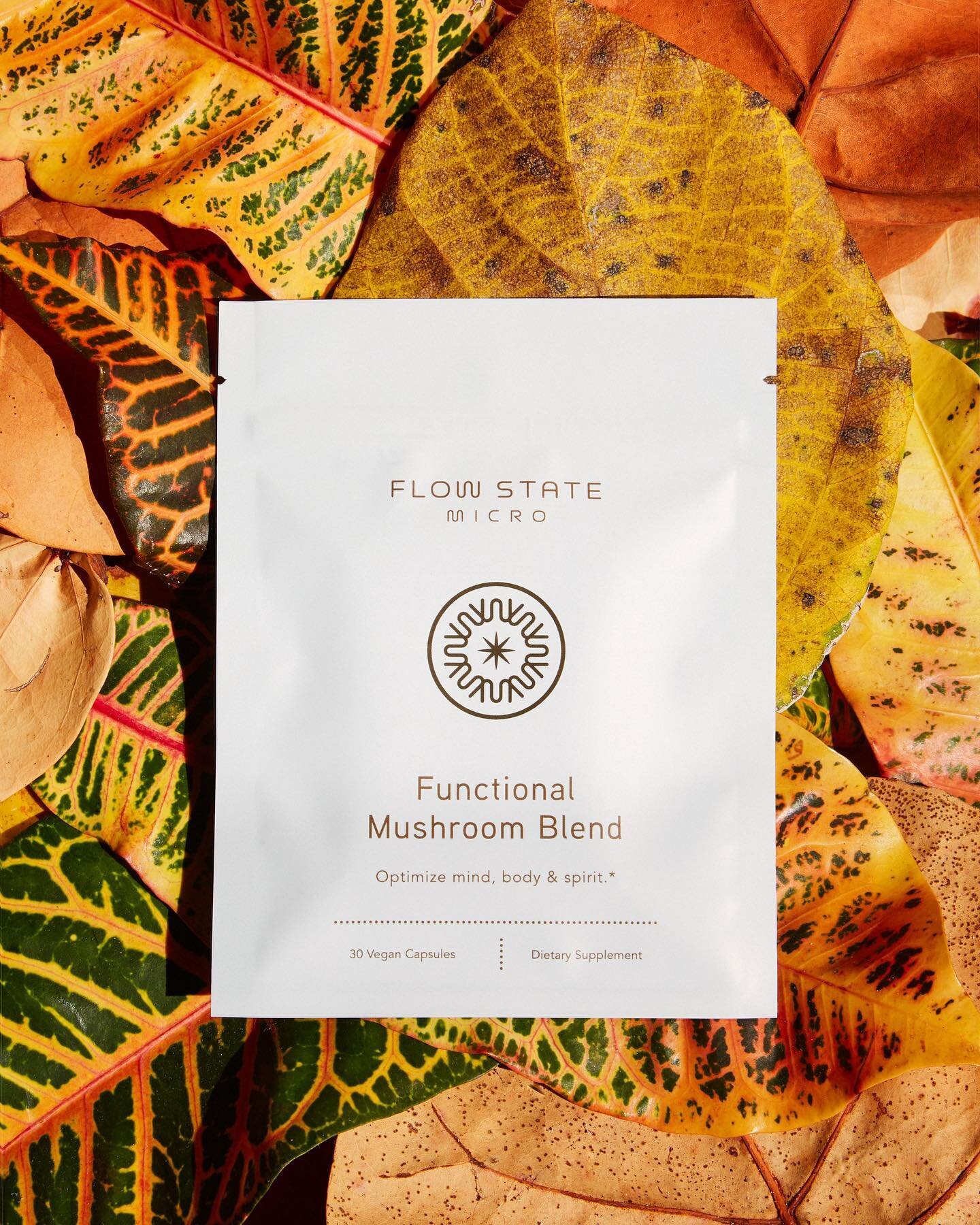 Flow State Micro&rsquo;s Functional Mushroom blend combines Lion&rsquo;s Mane, Chaga, Cordyceps and Maitake mushrooms;
the four most important mushrooms for brain, focus, increased energy and immunity support!

Order today www.FlowStateMicro.com
Ship
