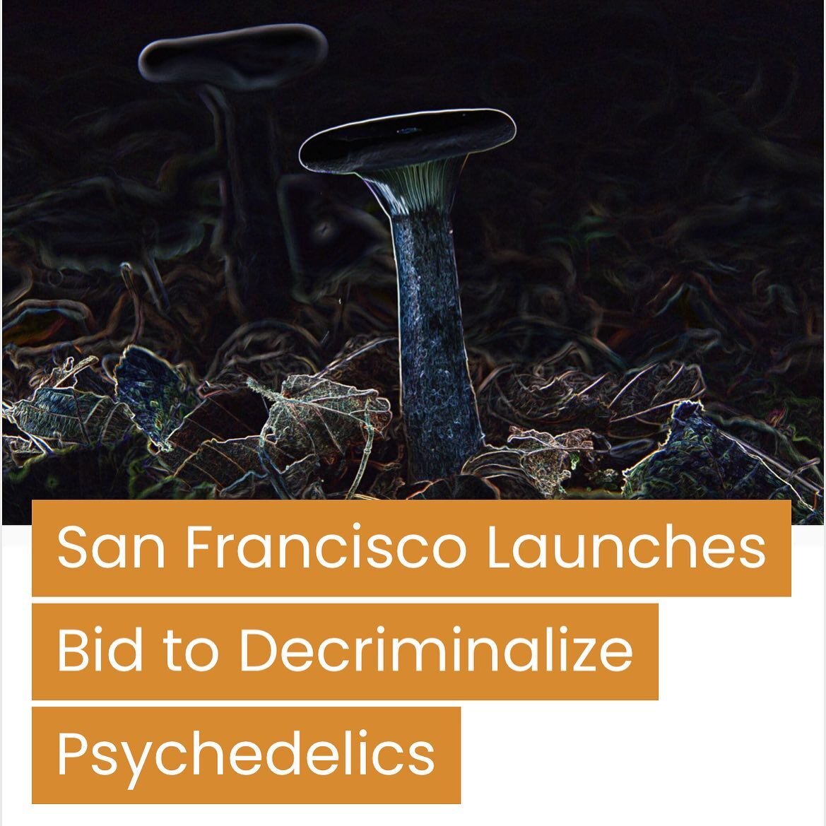 &ldquo;City lawmakers in San Francisco have introduced a resolution to decriminalize naturally occurring psychedelics, or &ldquo;entheogens.&rdquo; The measure would remove criminal penalties for possession of drugs like psilocybin or mescaline&mdash
