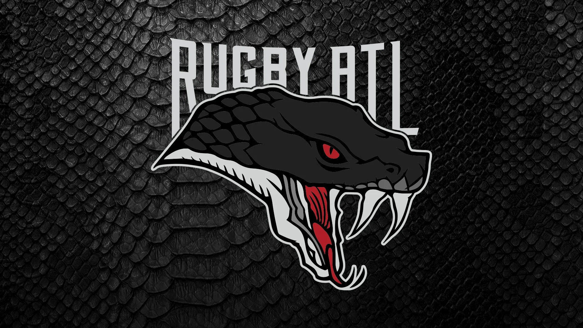 All Black Rugby Logo
