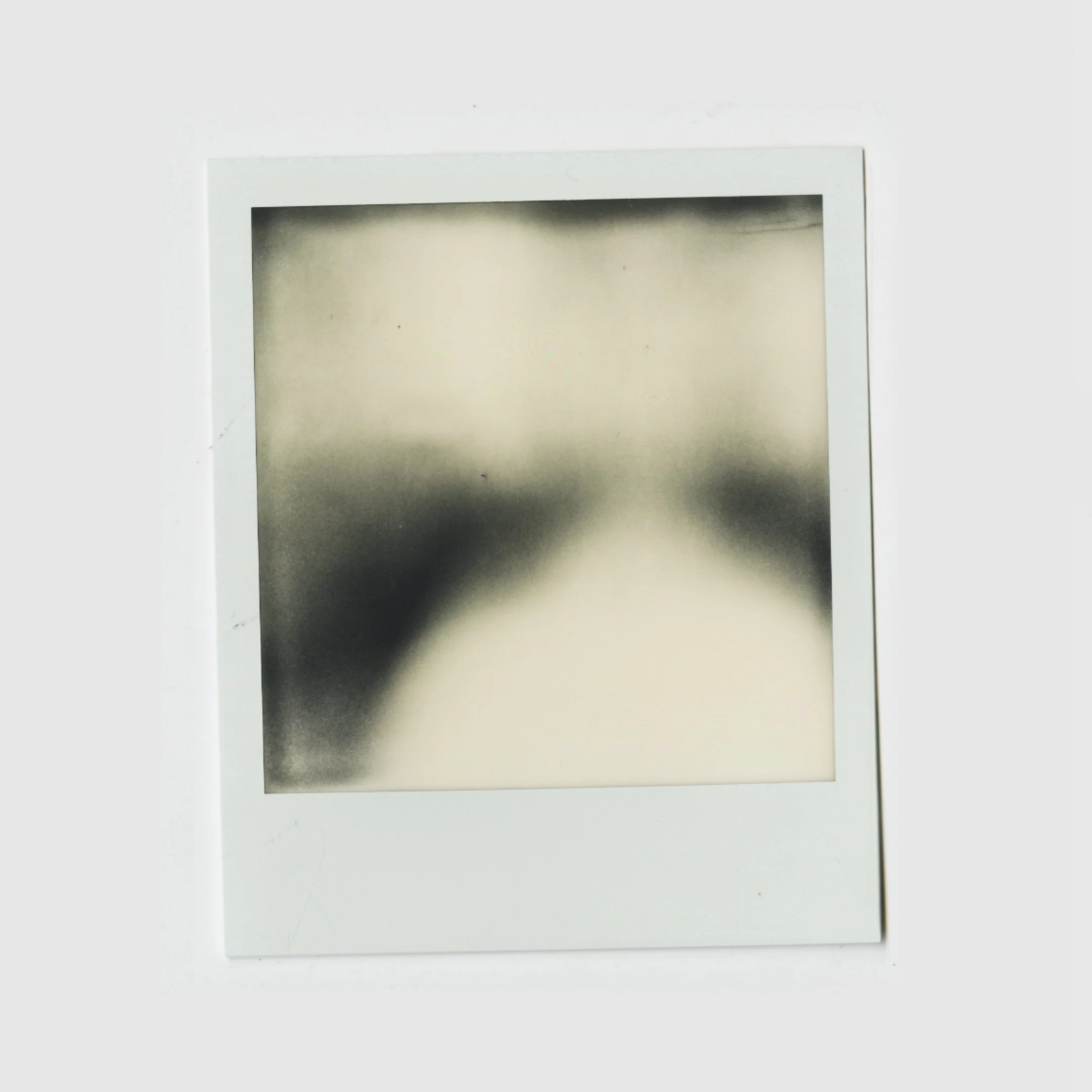 Polaroid 600 Film