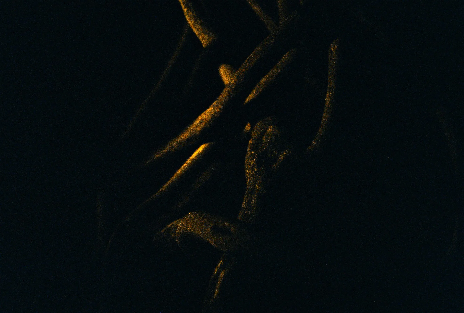 000051.jpg