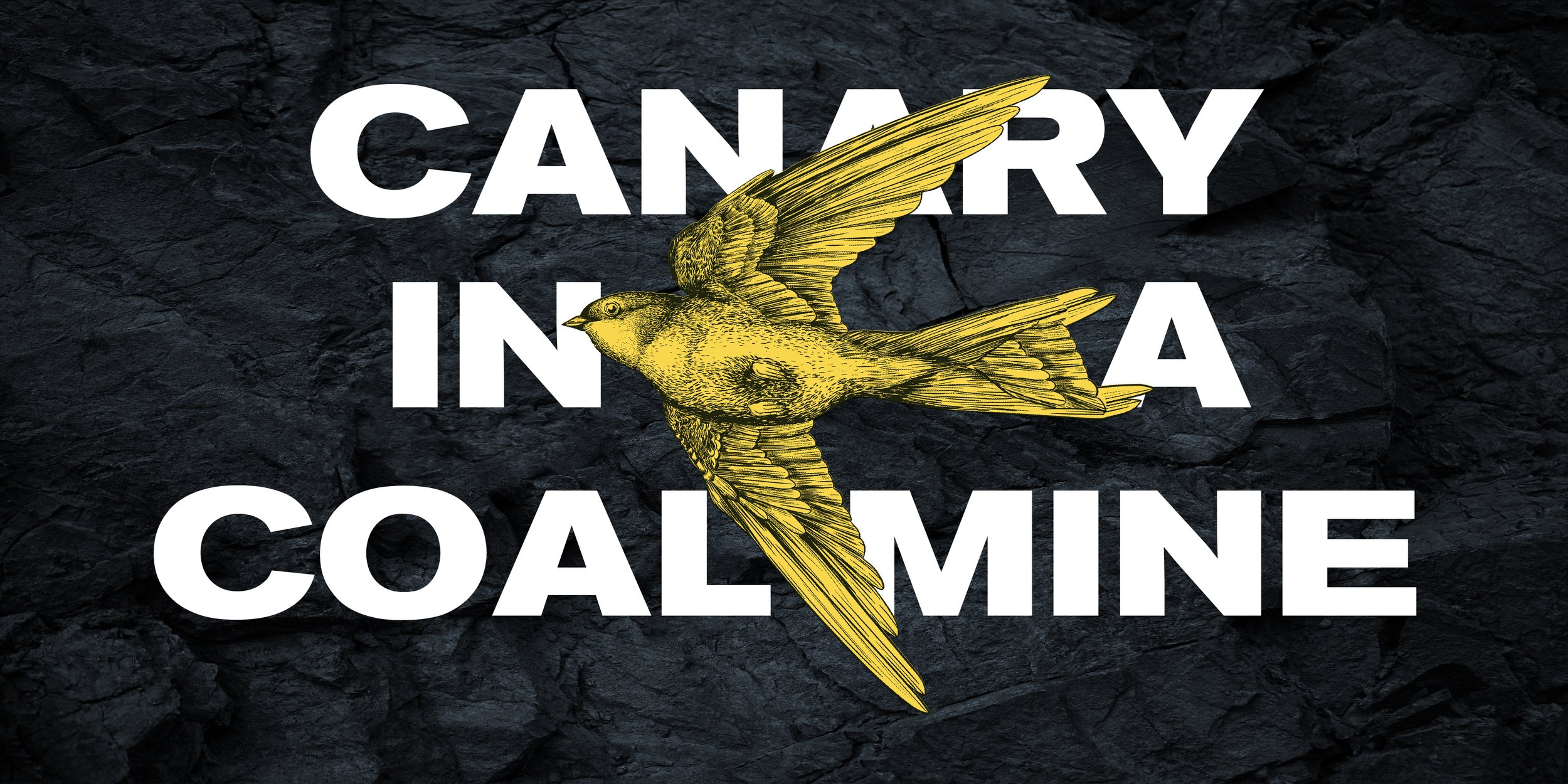 Canary in a Coal Mine Week 4