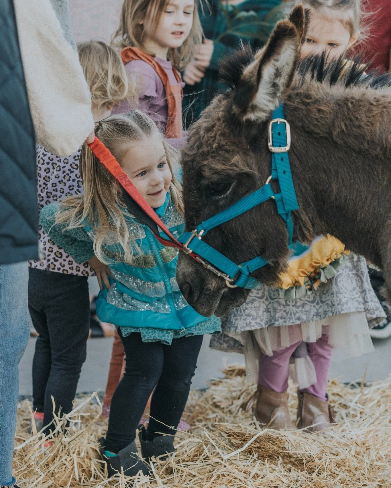 just some of our favorite moments from the past few weeks 🤍 a whole lot to be thankful for!