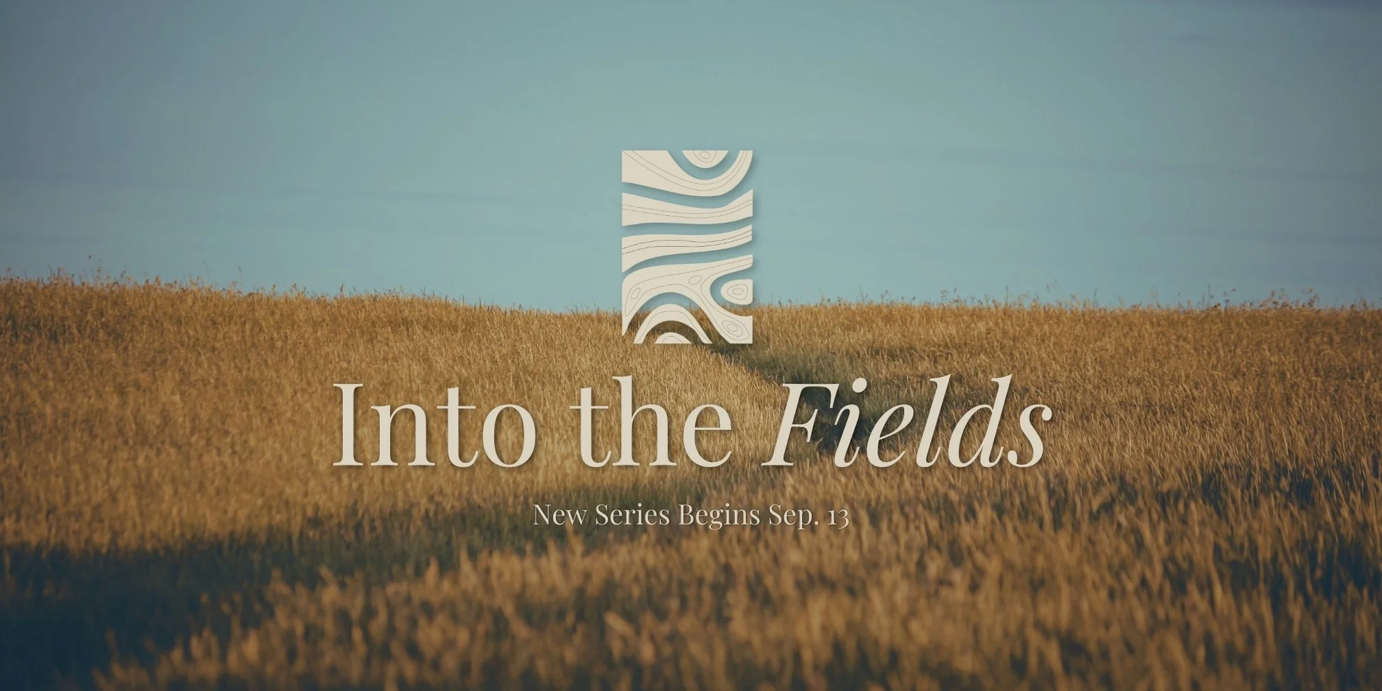 Into the Fields Message Series