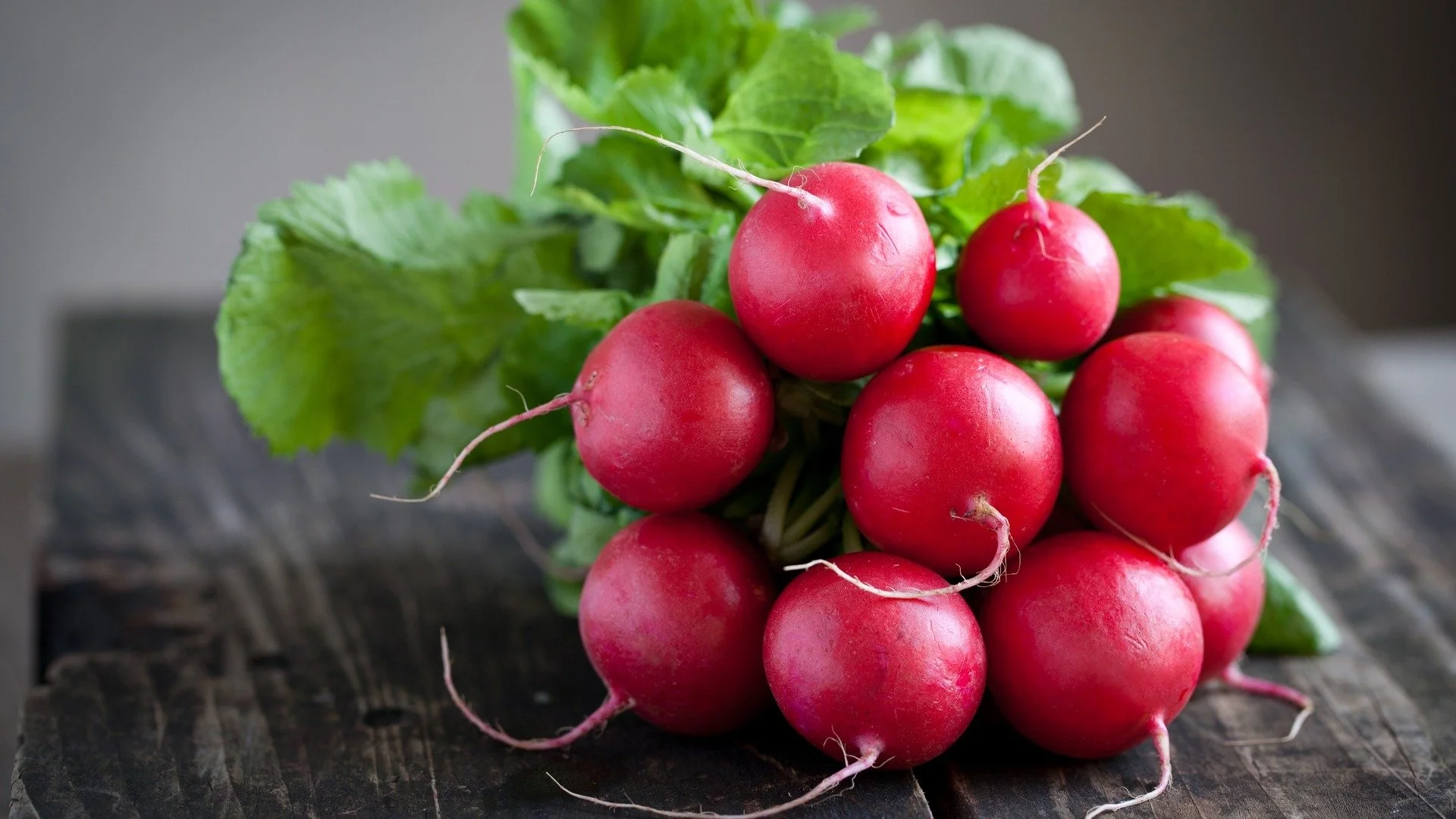 Red-Radish.jpg