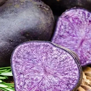 potatoes-purple-majesty.webp