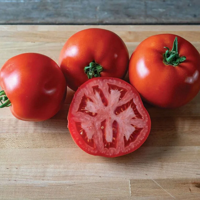 5226_01_firebird_tomato-2.jpg