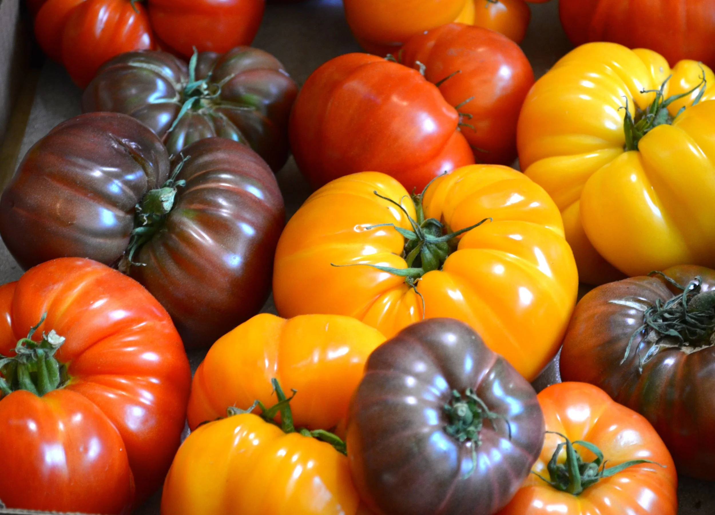 Heirloom Tomatoes - 2 Pounds