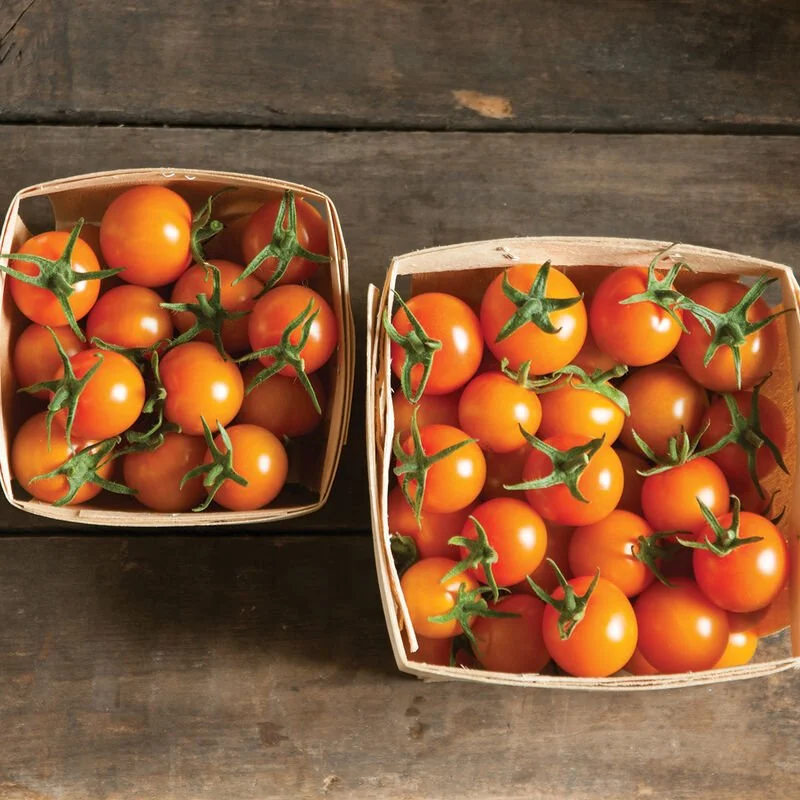 Sungold Cherry Tomatoes - 1 Pint