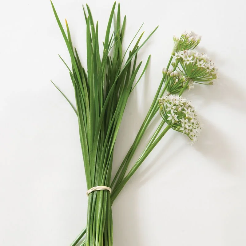 Garlic Chives - 1 Bunch