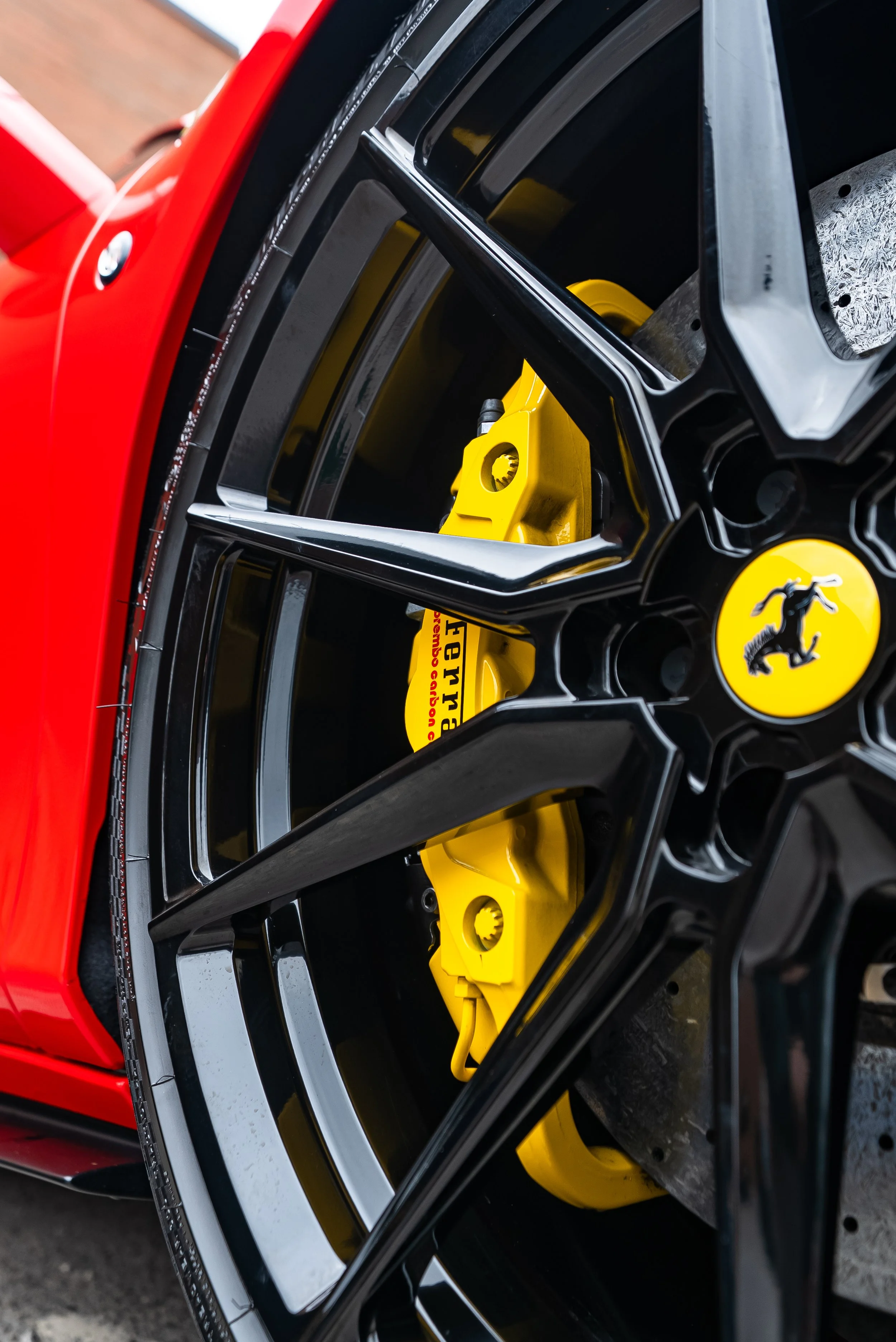 F8 Spider on Vossens-19.jpg