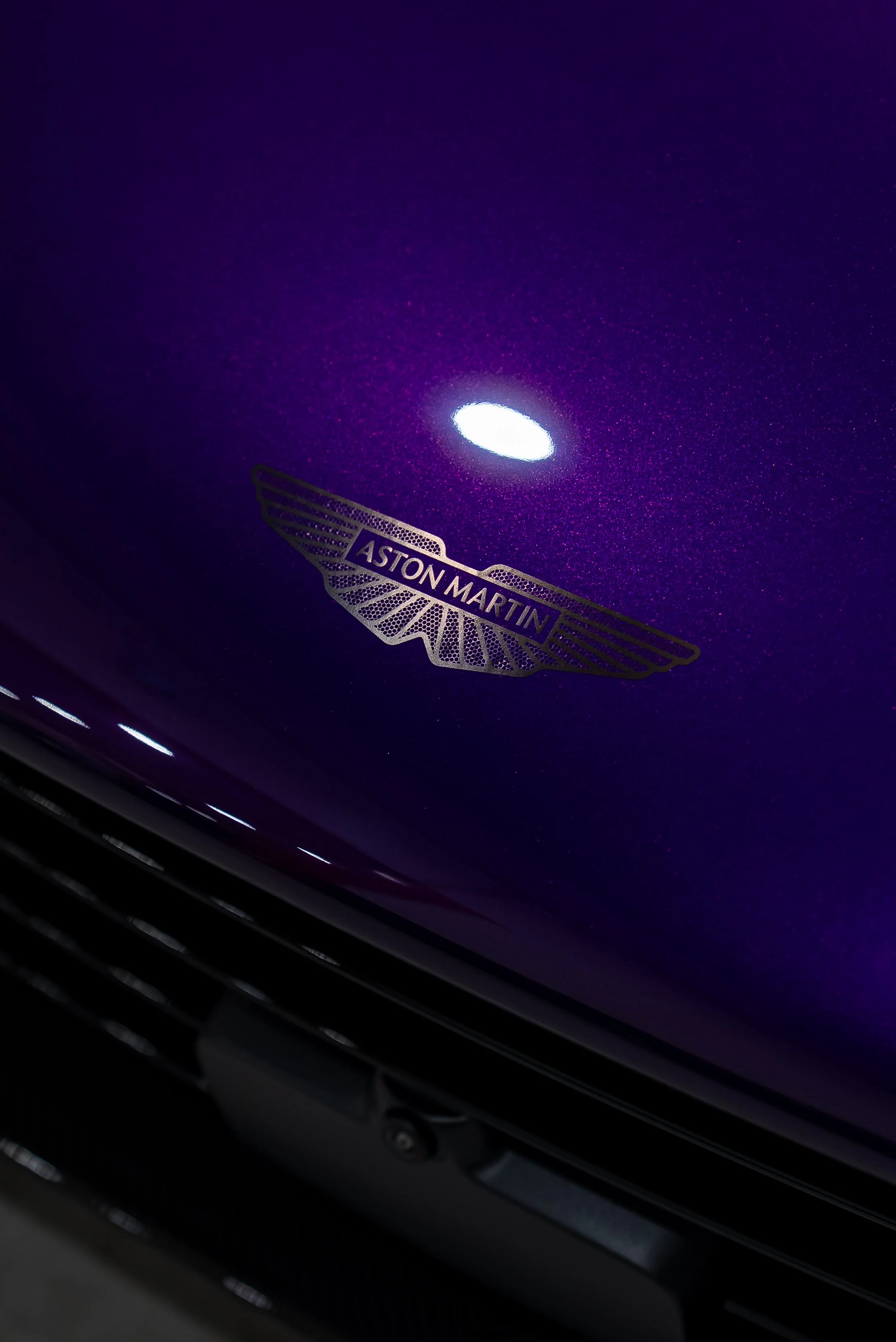 Valhalla [Storm Purple]-4.jpg