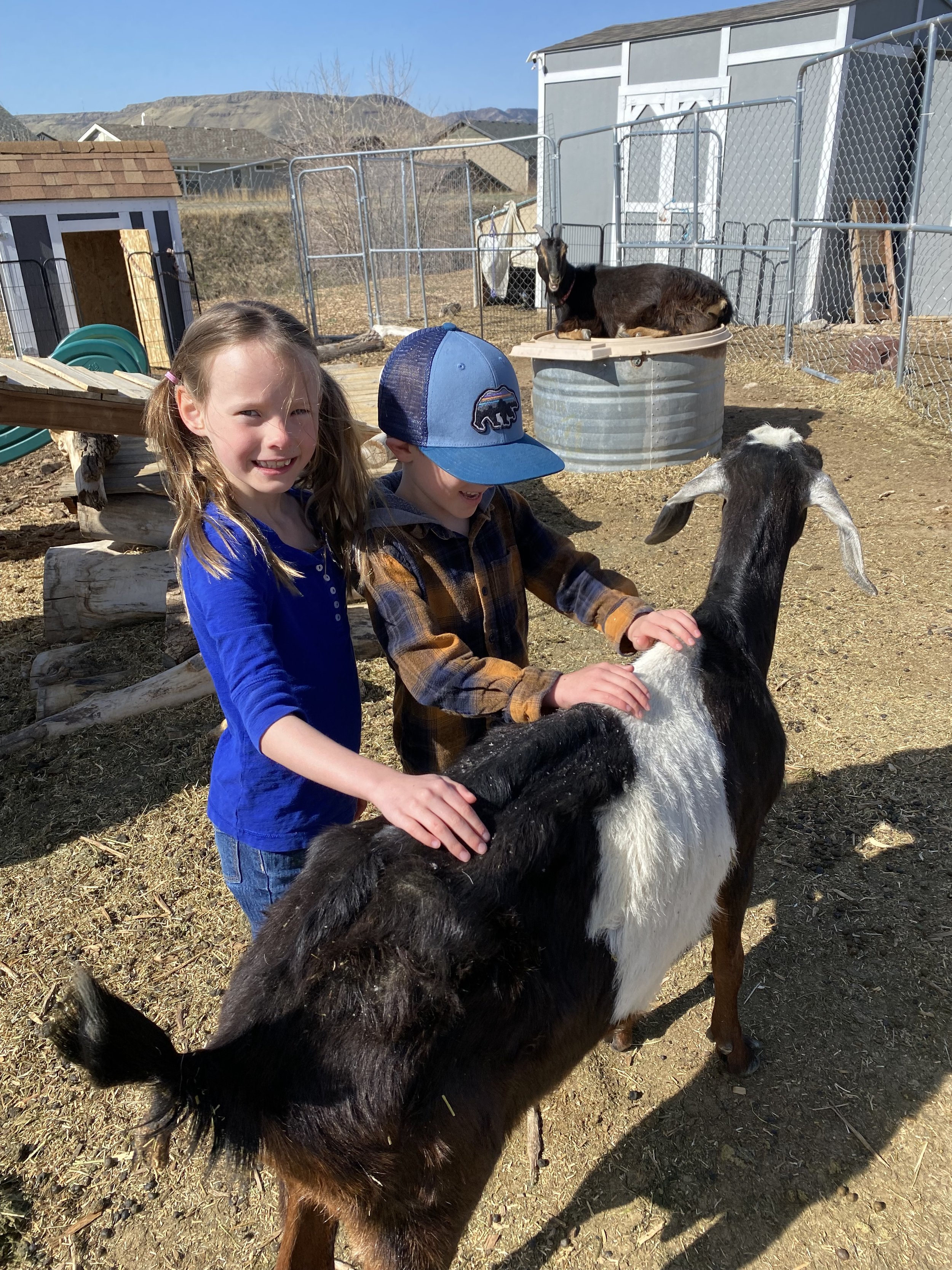 Farm Summer Social Skills Group