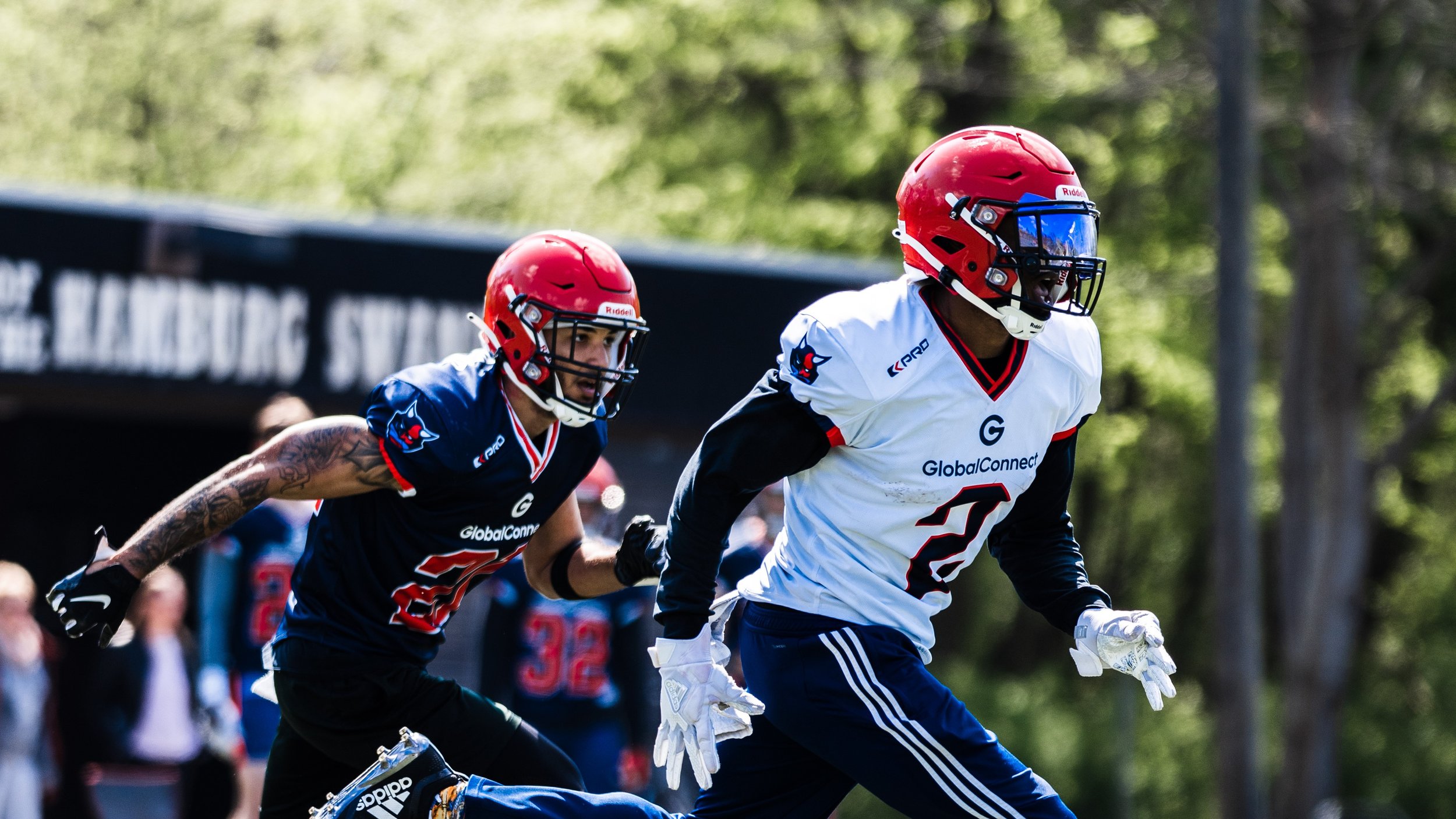 Hamburg Sea Devils starten in Polen in die Saison! Interconference-Rivale Wrocław Panthers lauern