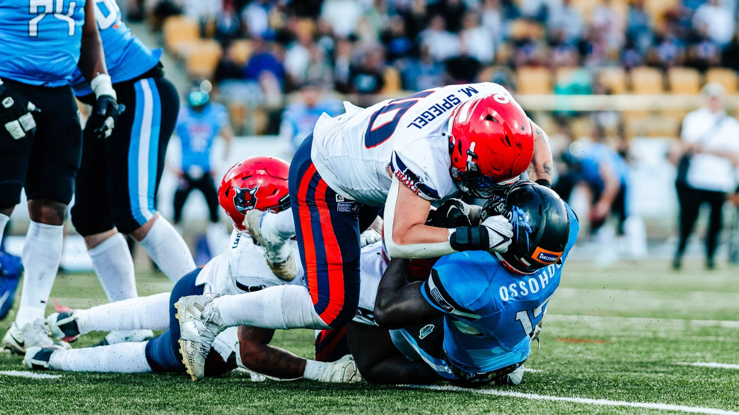 Hamburg Sea Devils fordern zur Revanche gegen die Panthers!