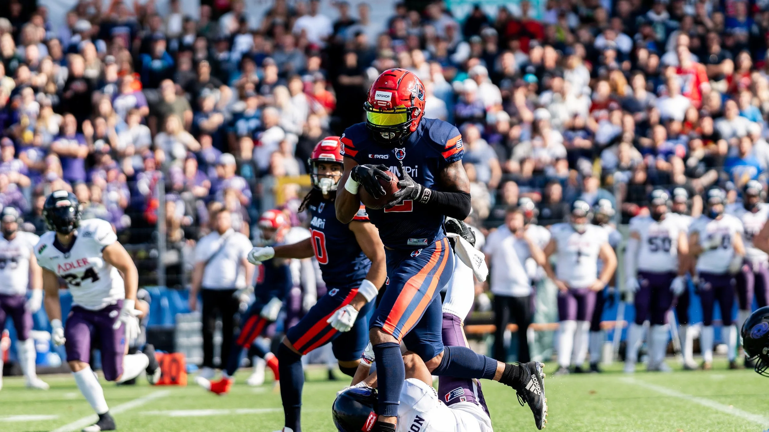 Hamburg Sea Devils verlieren letztes Heimspiel vor gigantischer Kulisse! 