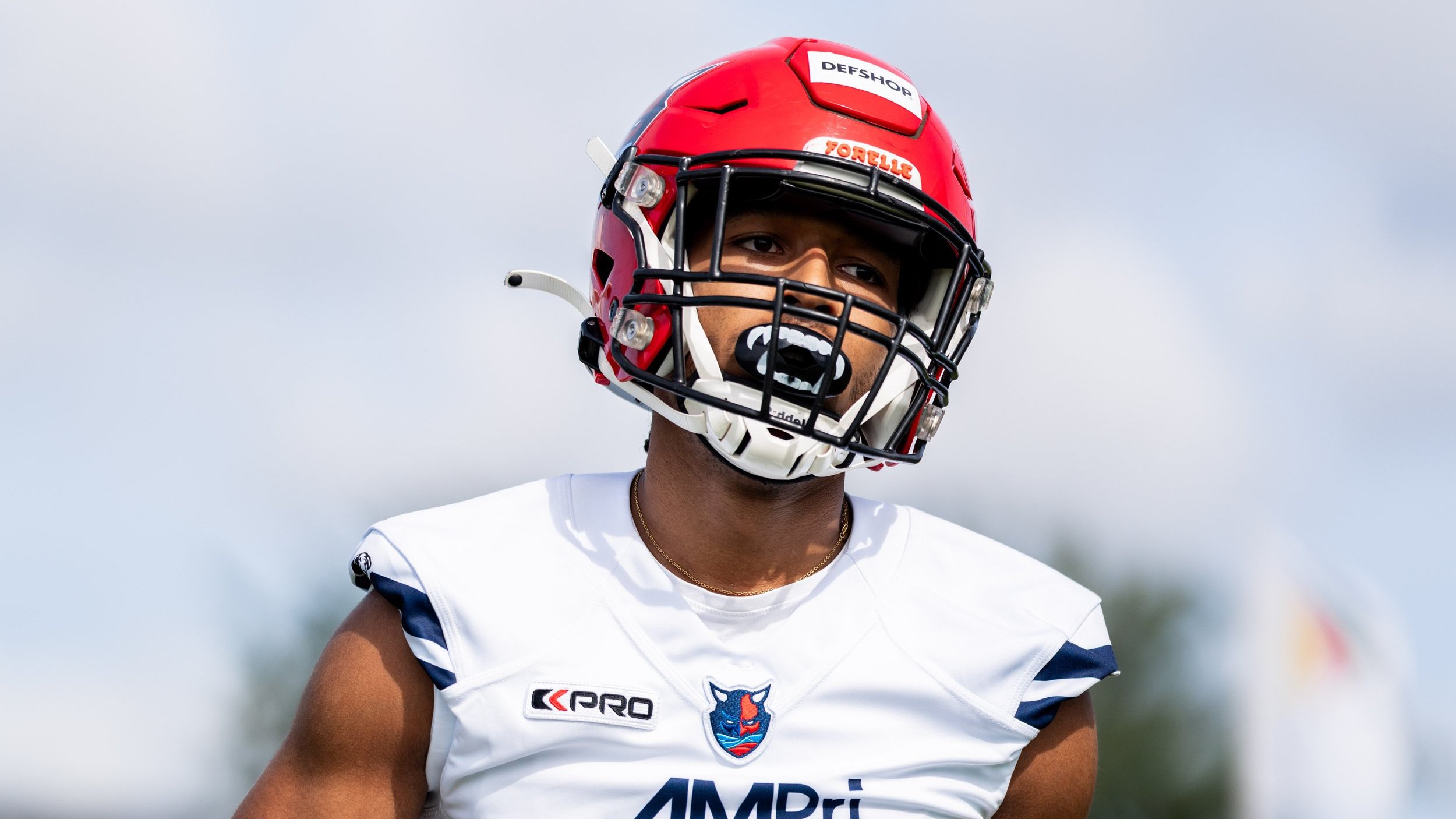 Hamburg Sea Devils verstärken Offensive mit gleich vier Akteuren - ein Bekannter kehrt zurück