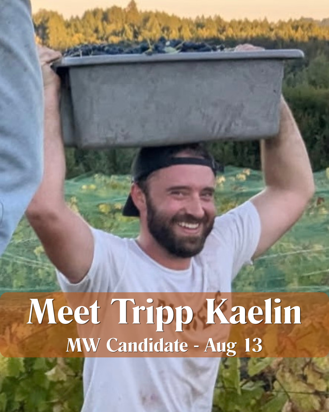 tripp 11.png