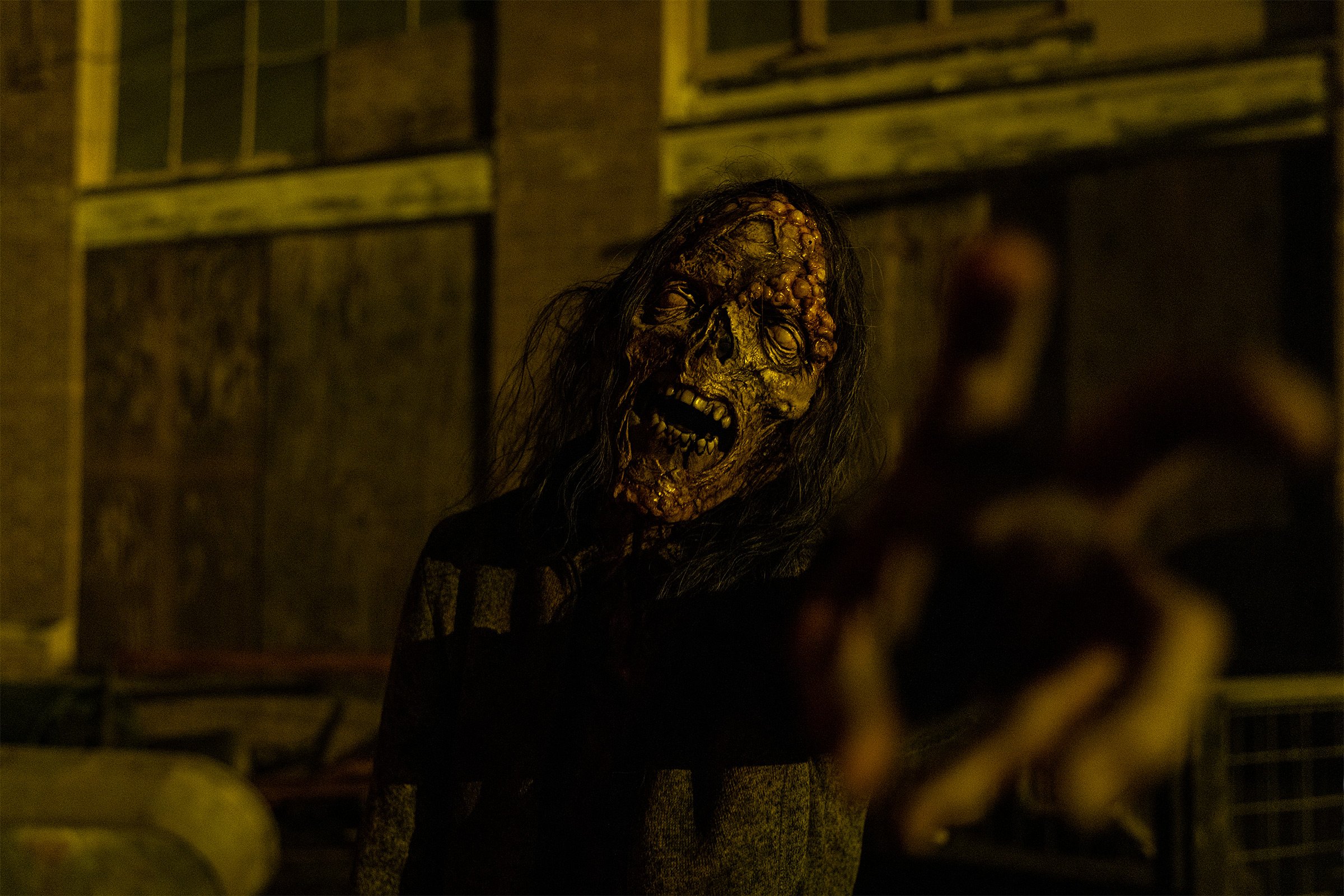 ftwd-walker.jpg