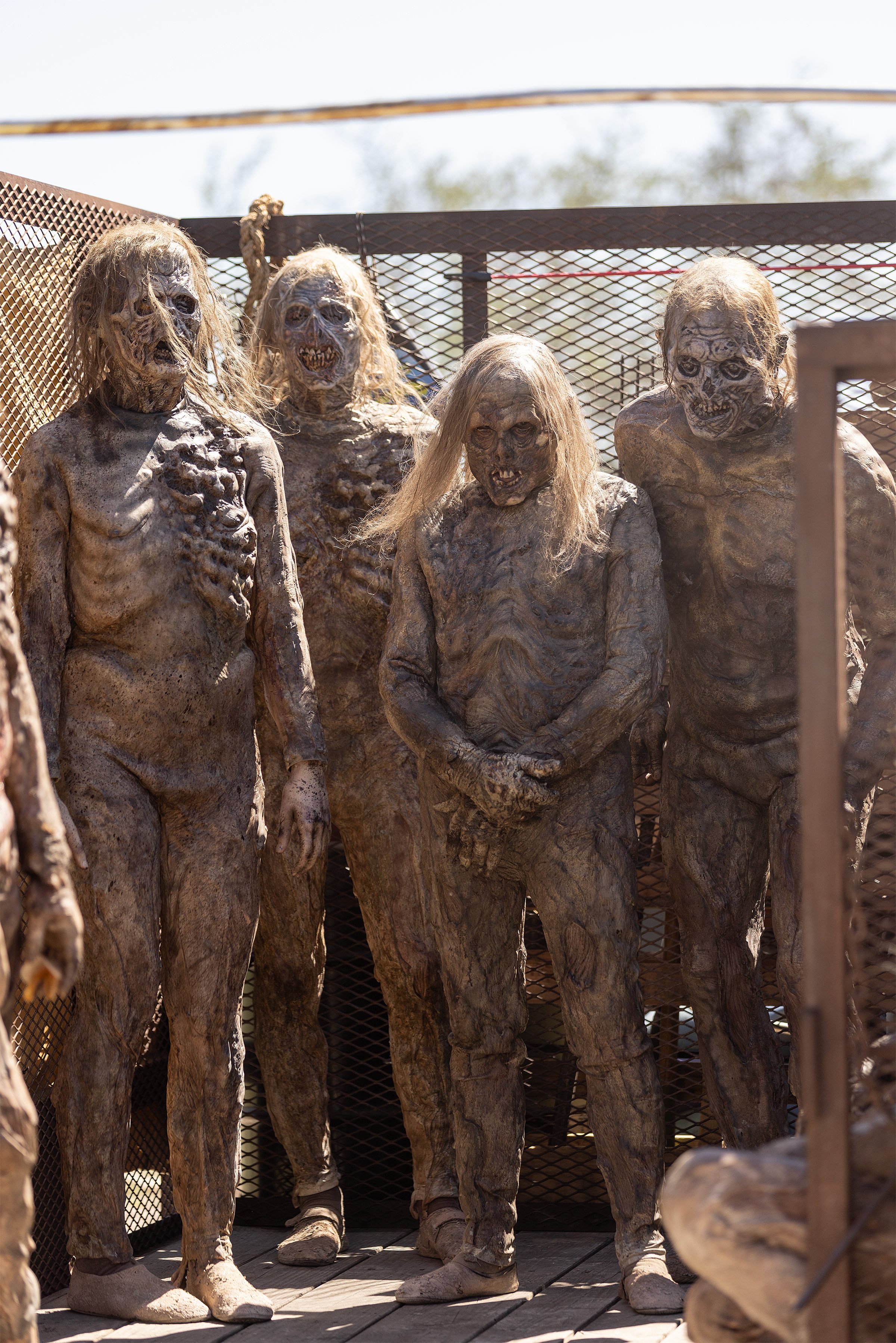 walkers.jpg