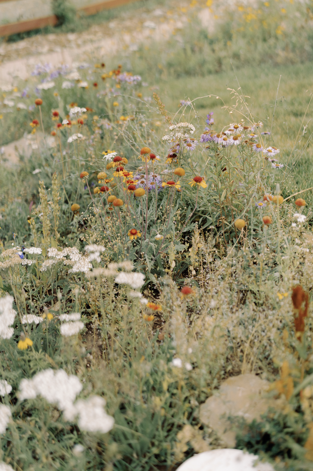 Screenshot 2026-01-09 at 5.36.57 PM.png