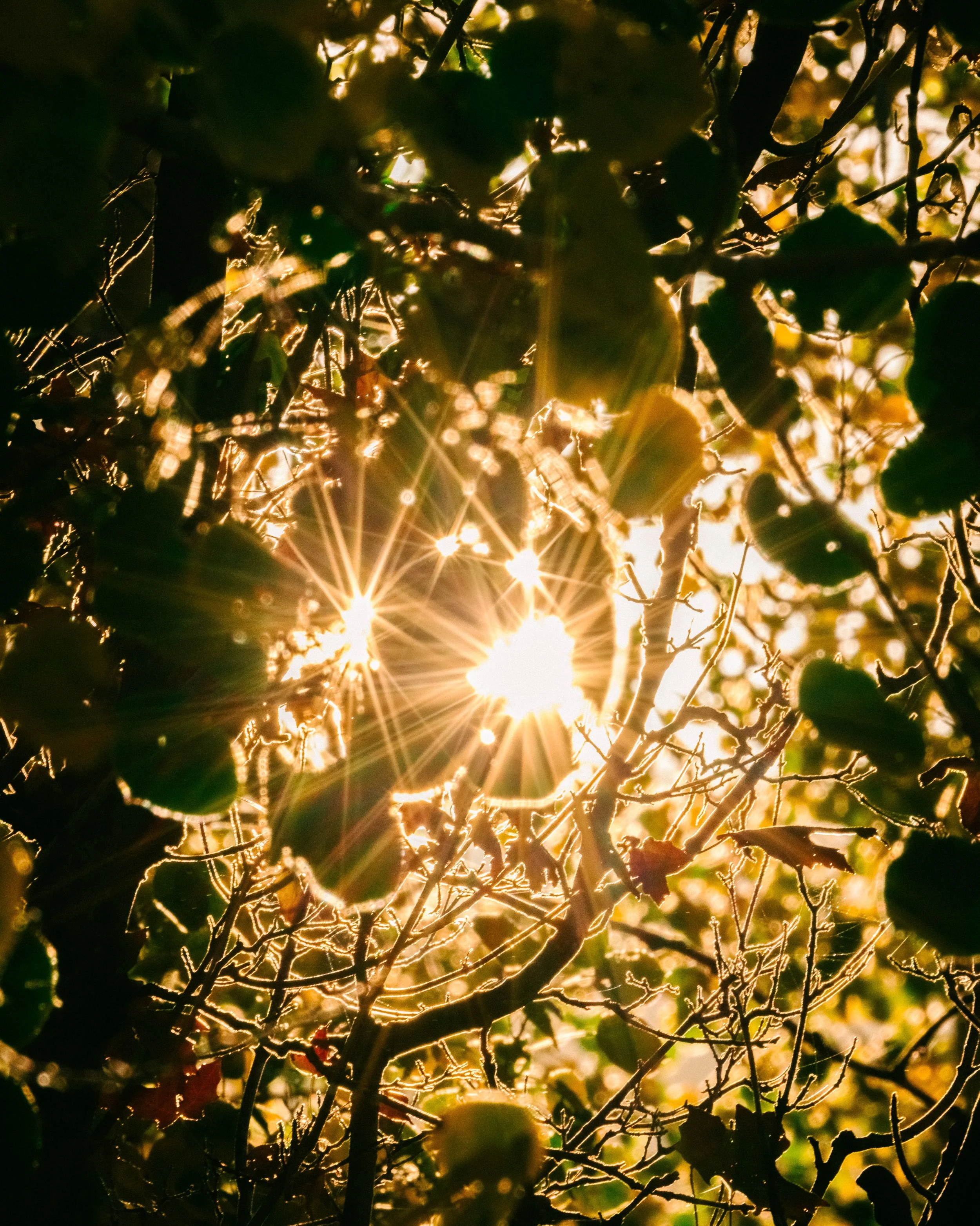 Rurual.seascape.fineart.etc 7.20.25 Lower image quality-2-70.jpg