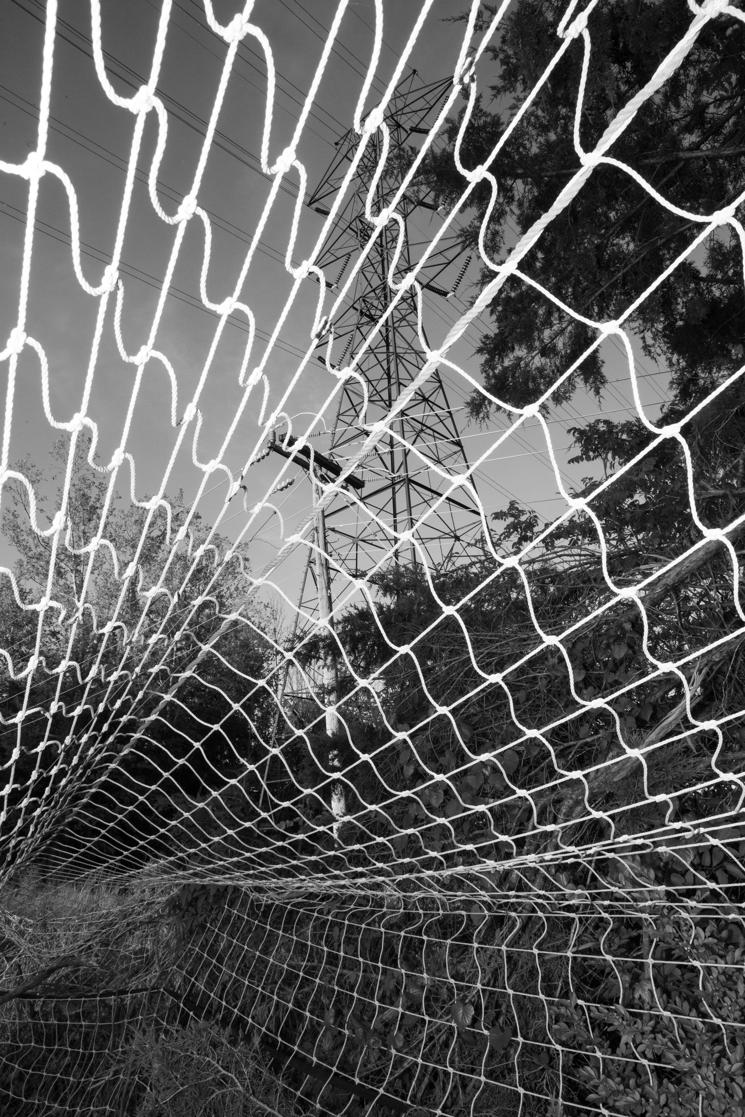 Rurual.seascape.fineart.etc 7.20.25 Lower image quality-4102.jpg