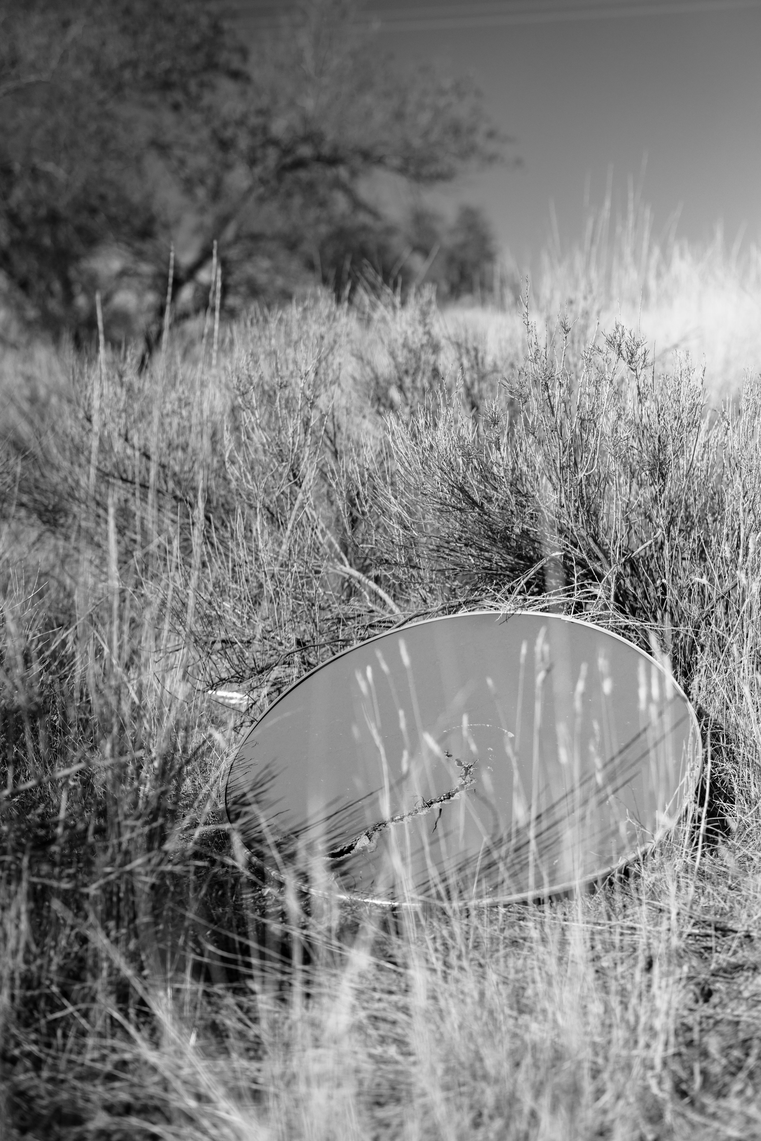 Rurual.seascape.fineart.etc 7.20.25 Lower image quality-3278.jpg