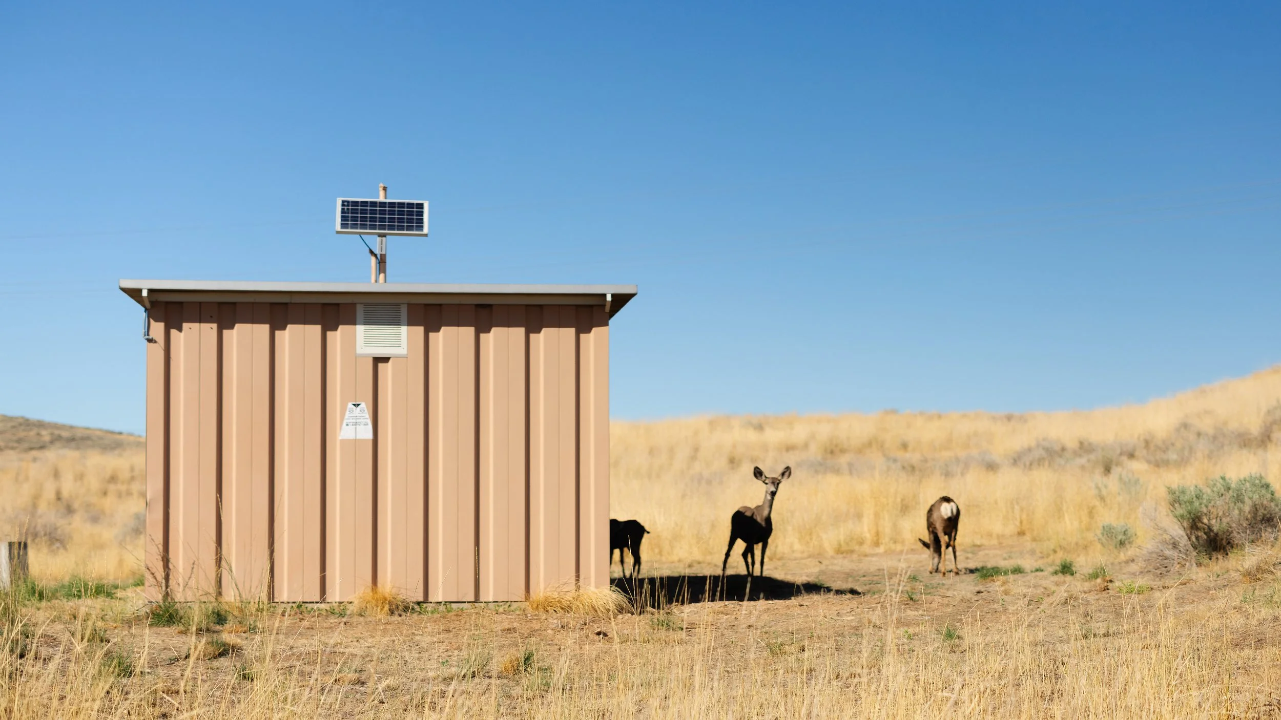 Rurual.seascape.fineart.etc 7.20.25 Lower image quality-3230.jpg