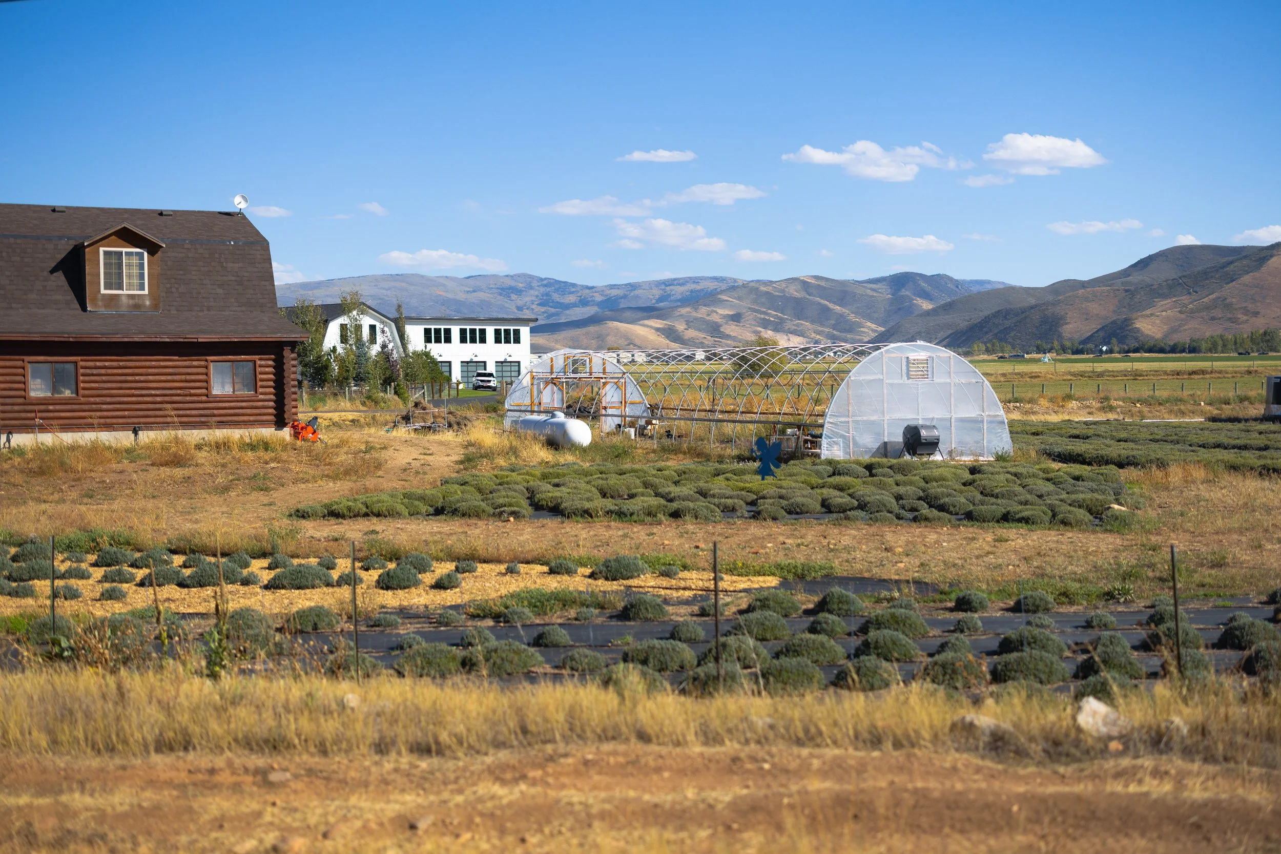 Rurual.seascape.fineart.etc 7.20.25 Lower image quality-0545.jpg