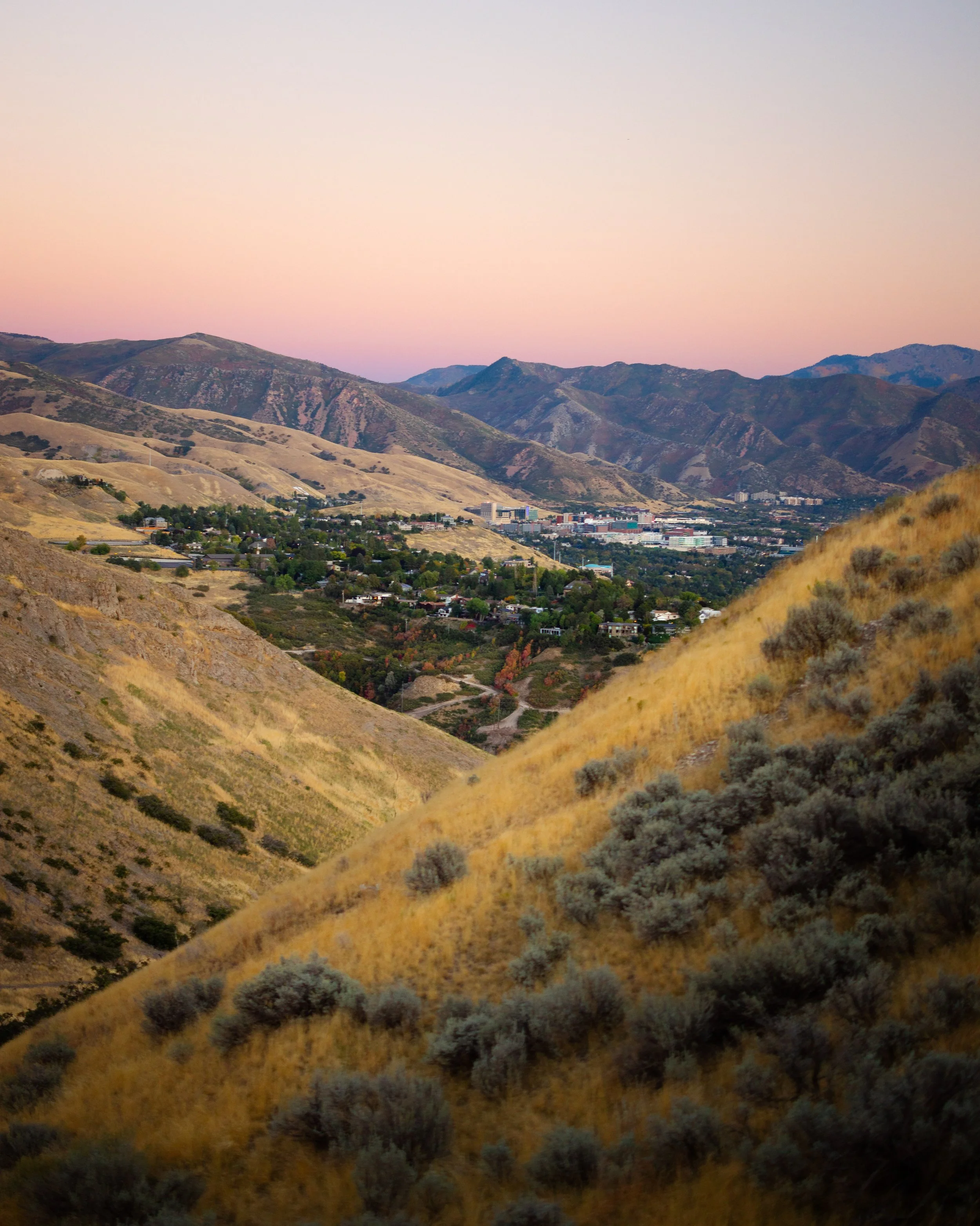 Rurual.seascape.fineart.etc 7.20.25 Lower image quality-9222.jpg