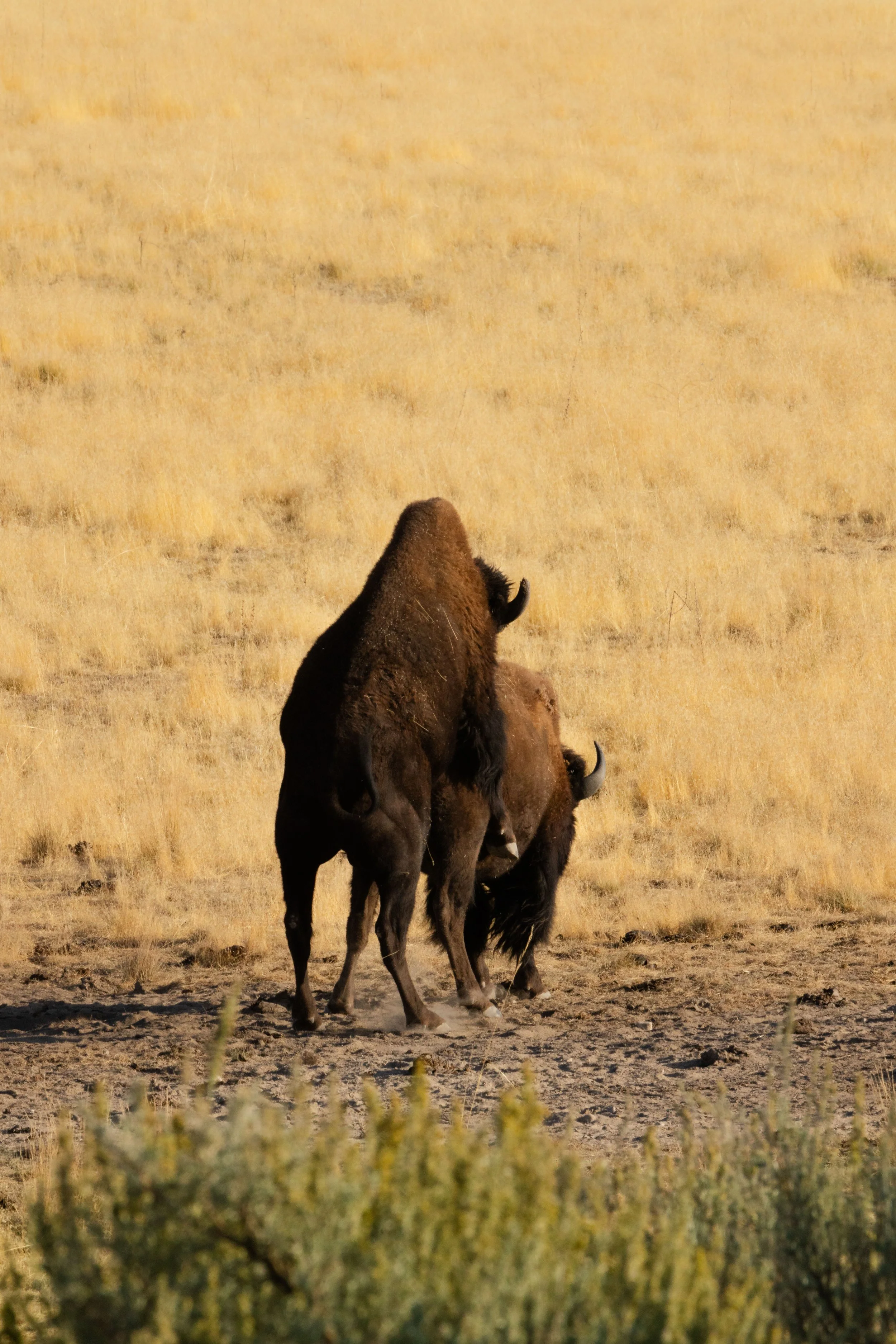 Rurual.seascape.fineart.etc 7.20.25 Lower image quality-4430.jpg