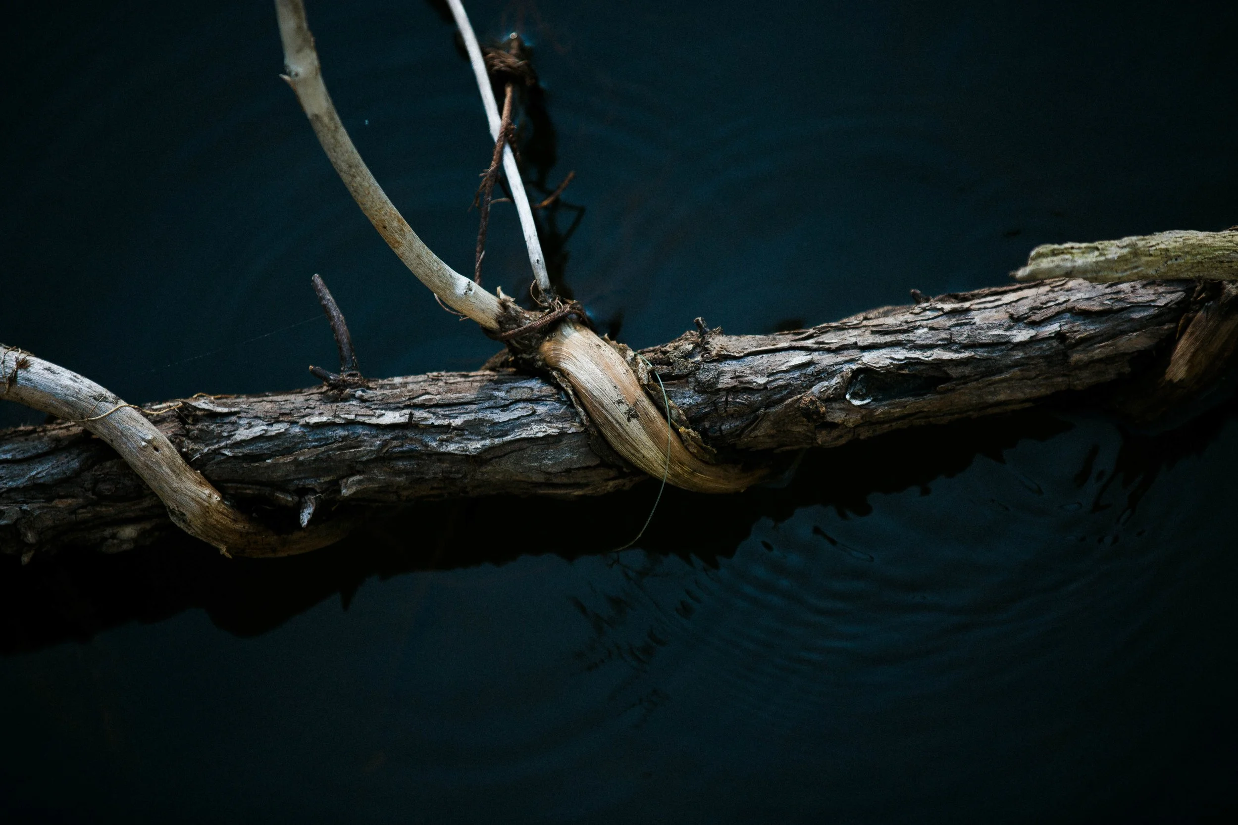 Rurual.seascape.fineart.etc 7.20.25 Lower image quality-8855.jpg