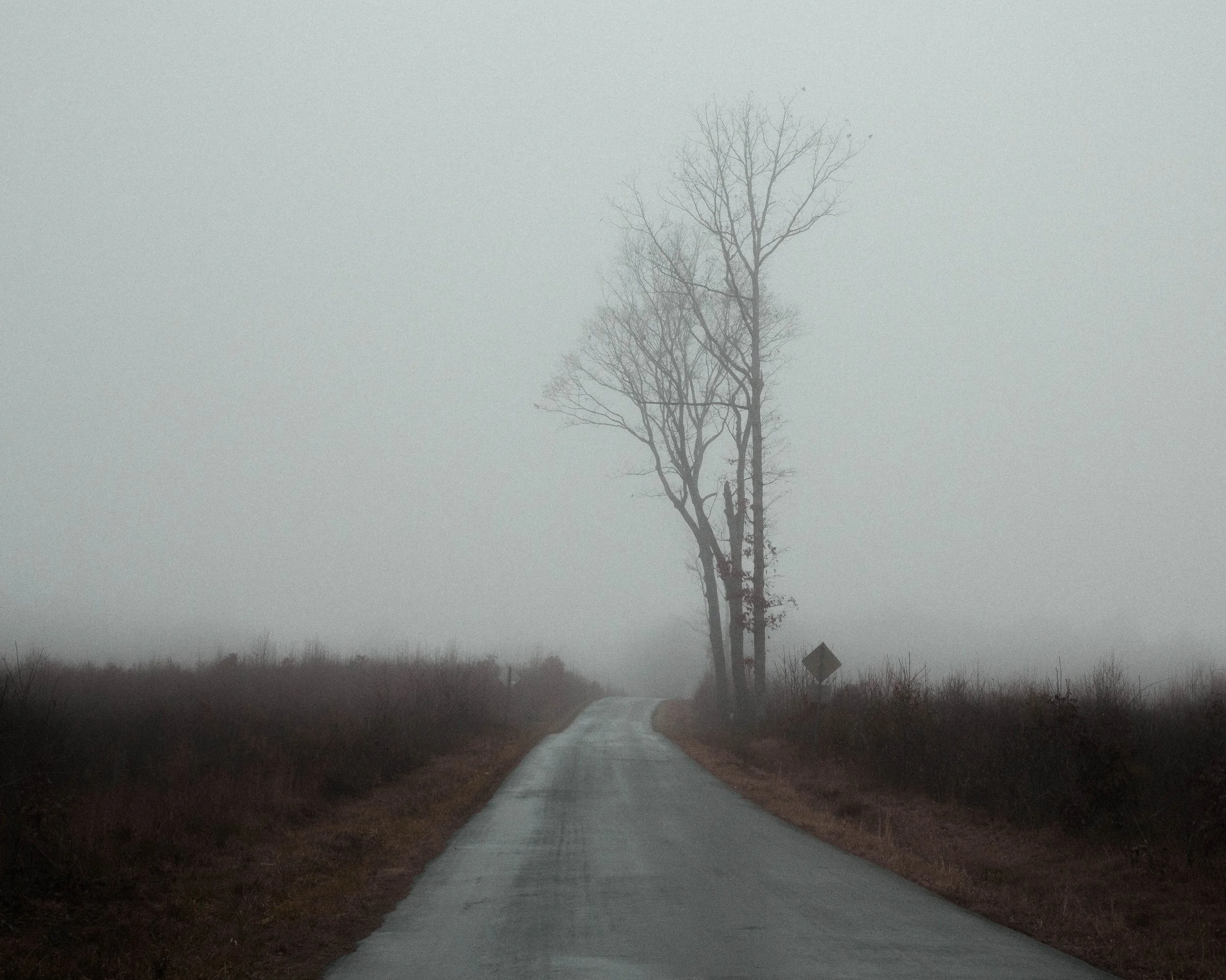 Rurual.seascape.fineart.etc 7.20.25 Lower image quality-5.jpg