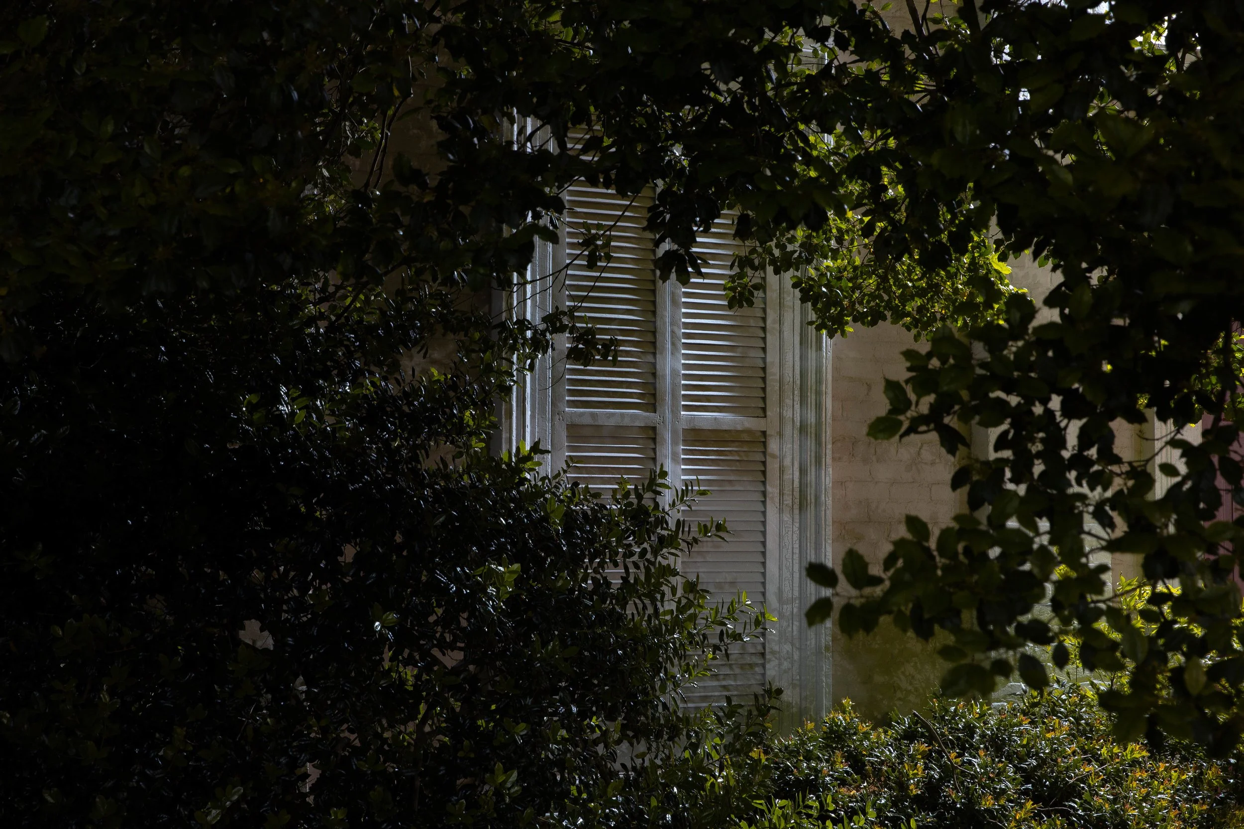 Rurual.seascape.fineart.etc 7.20.25 Lower image quality-2-17.jpg