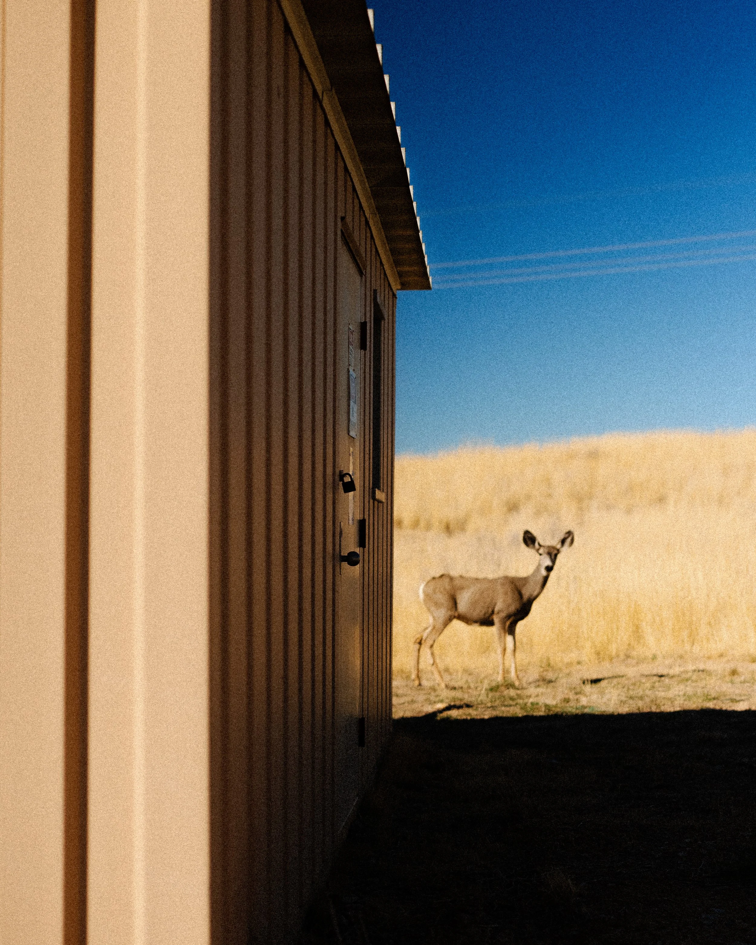 Rurual.seascape.fineart.etc 7.20.25 Lower image quality-3237.jpg