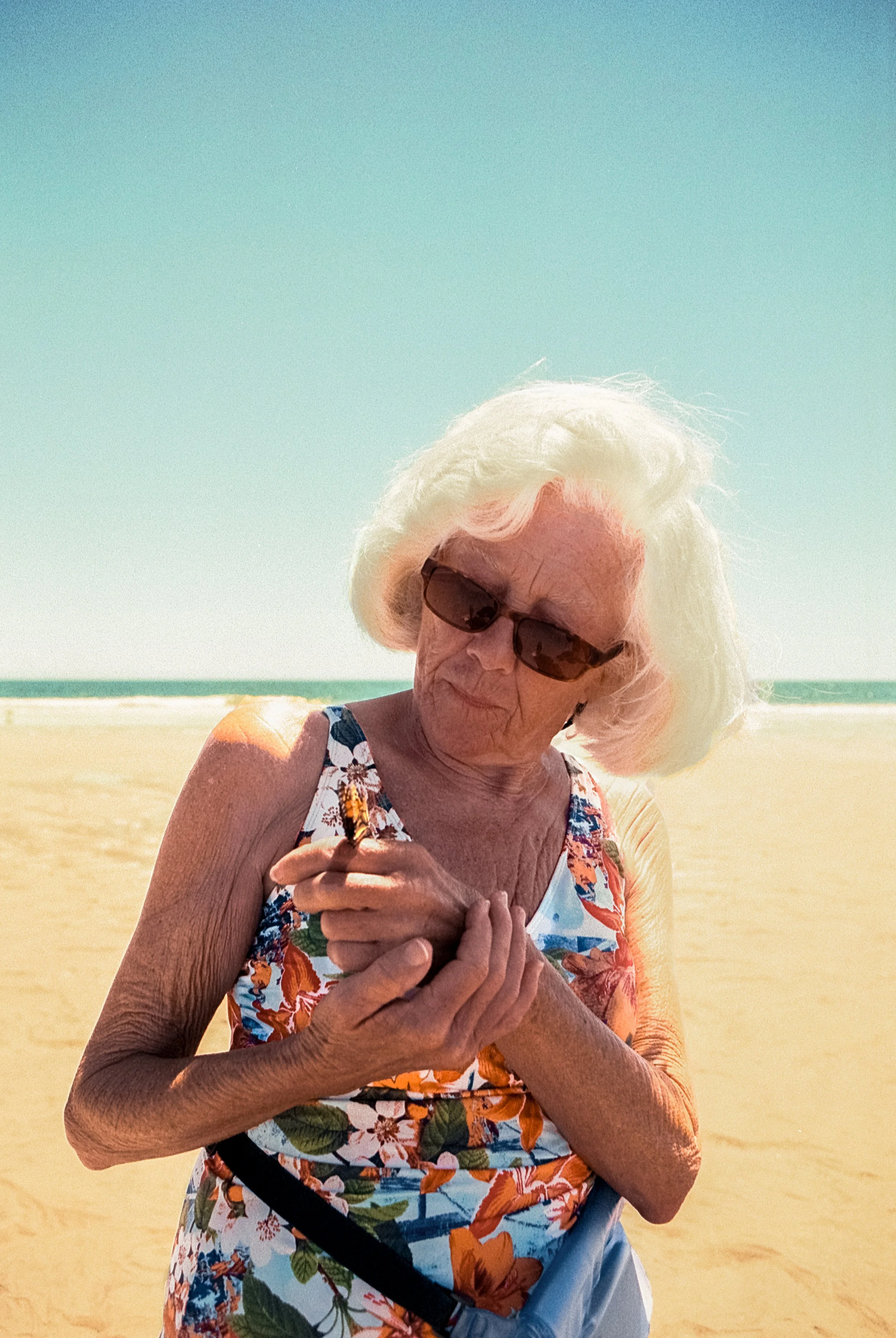 DD and Butterfly.jpg