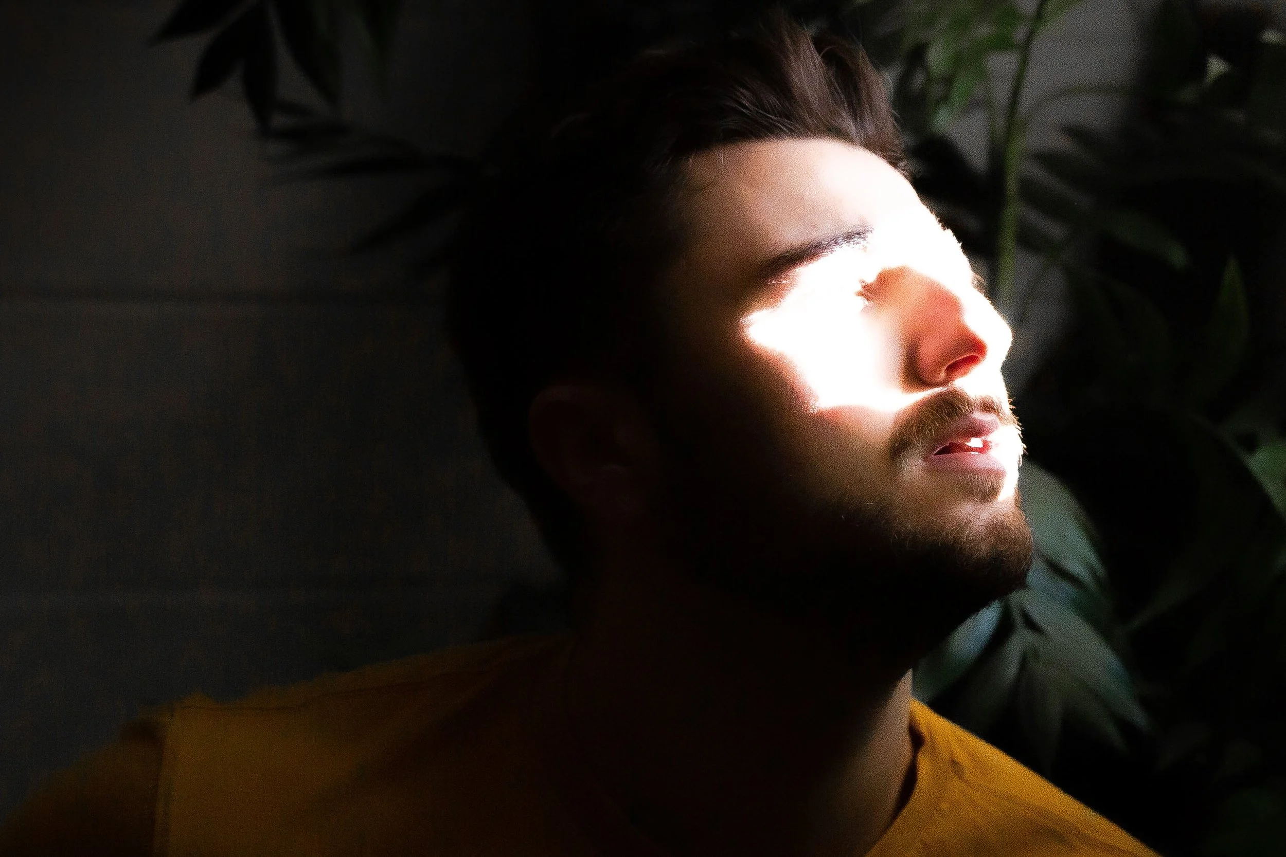 Rurual.seascape.fineart.etc 7.20.25 Lower image quality-4086.jpg