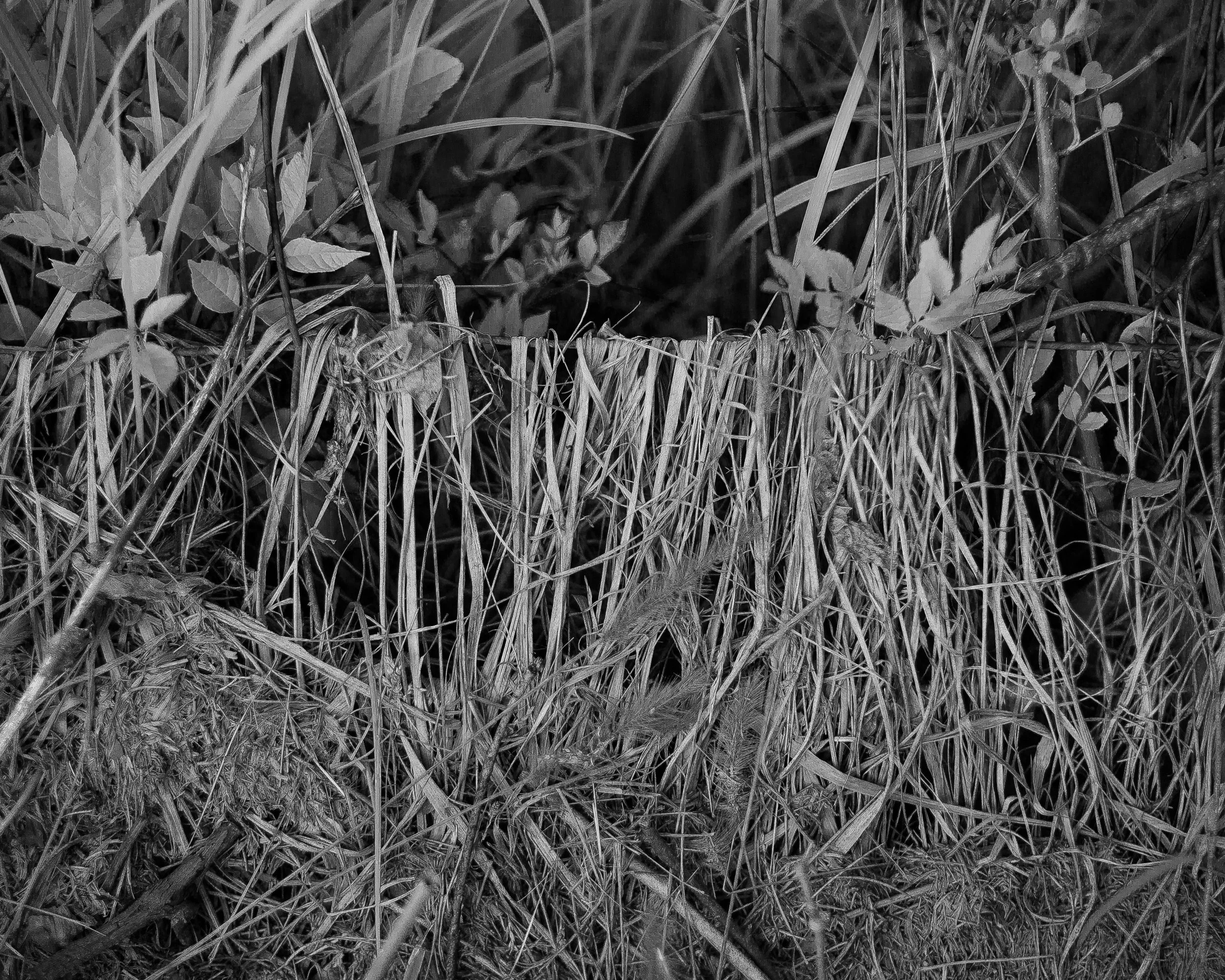 Rurual.seascape.fineart.etc 7.20.25 Lower image quality-4119.jpg