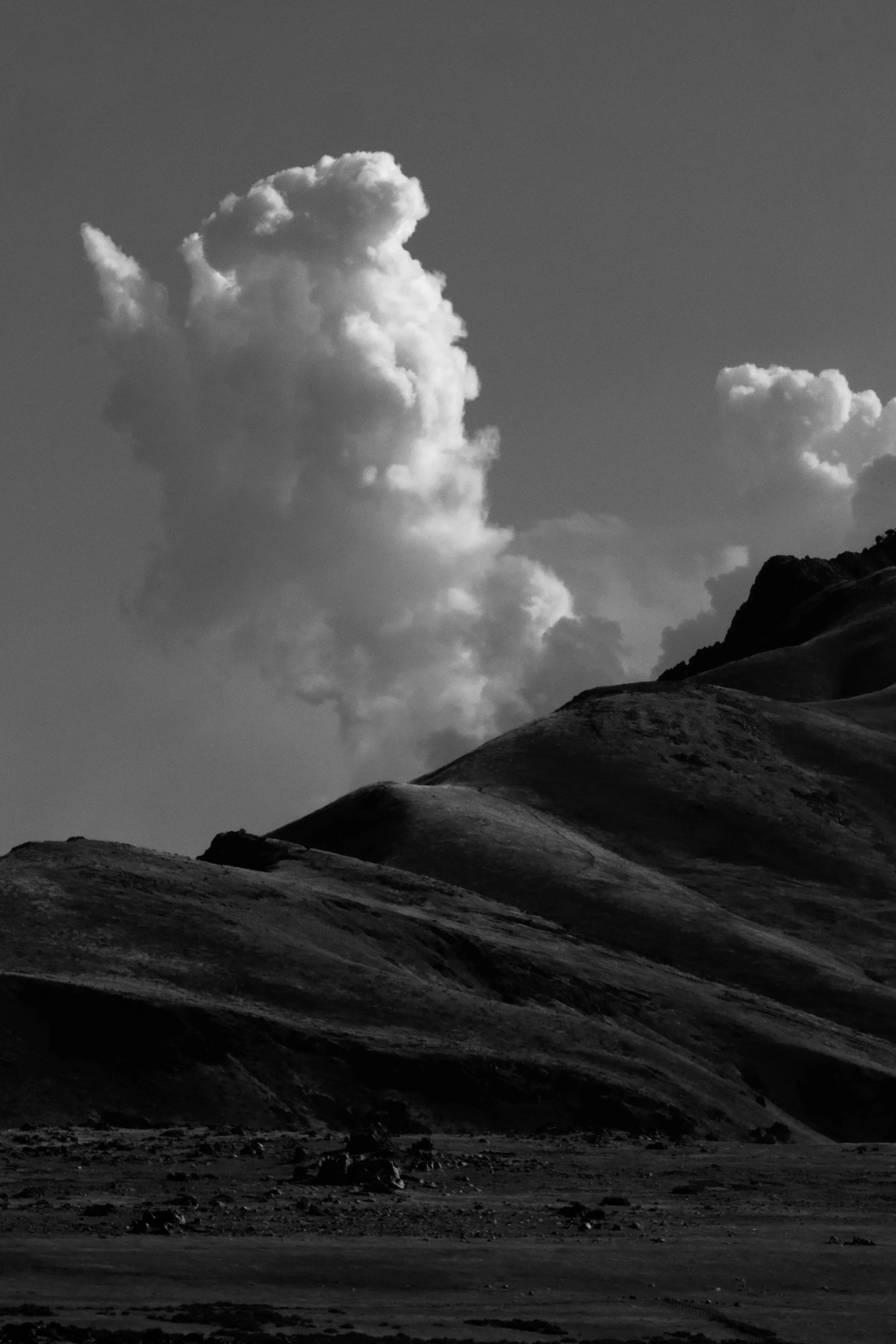 Rurual.seascape.fineart.etc 7.20.25 Lower image quality-4202.jpg