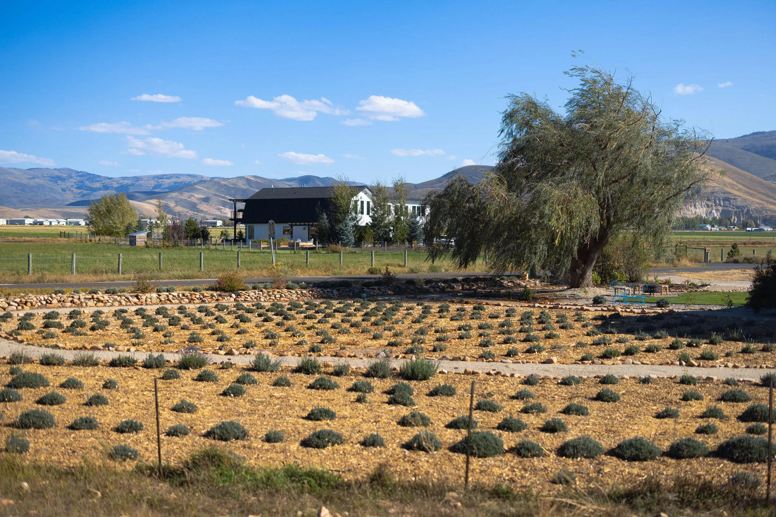 Rurual.seascape.fineart.etc 7.20.25 Lower image quality-0538.jpg