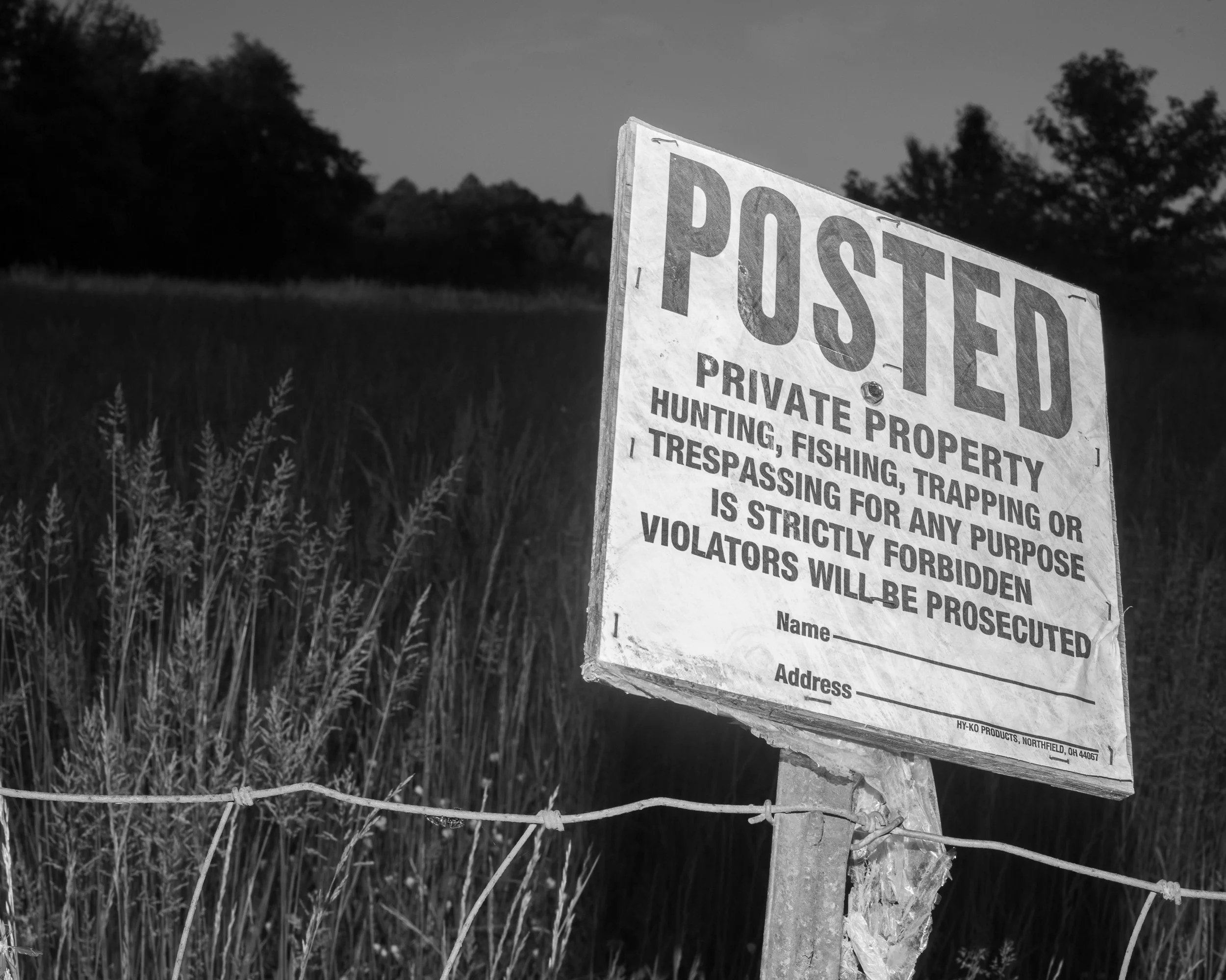 Rurual.seascape.fineart.etc 7.20.25 Lower image quality-4129.jpg